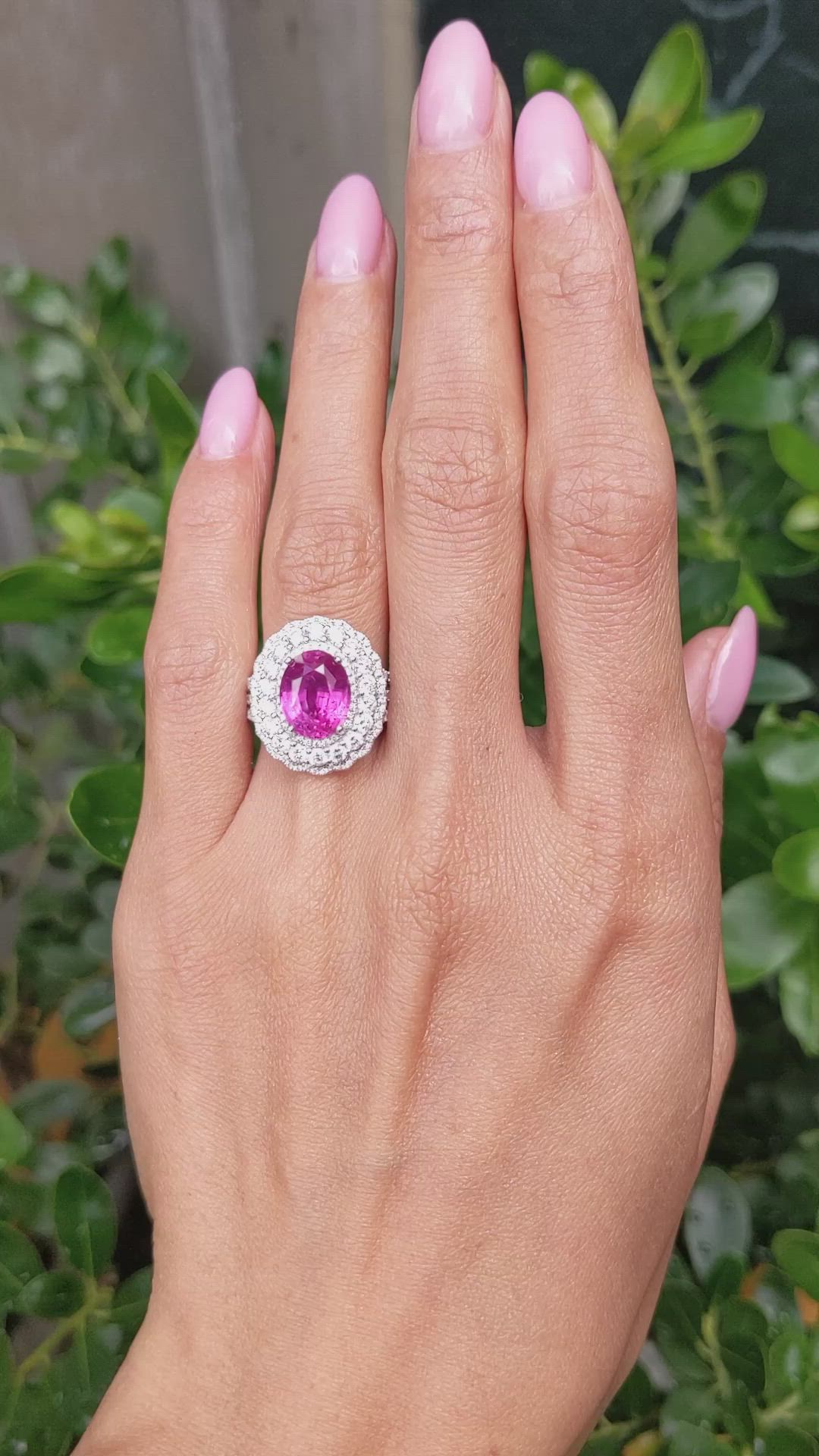 4.13 Ct. Pink Sapphire and Natural Diamond Pave Ring, 18K White Gold Size Video