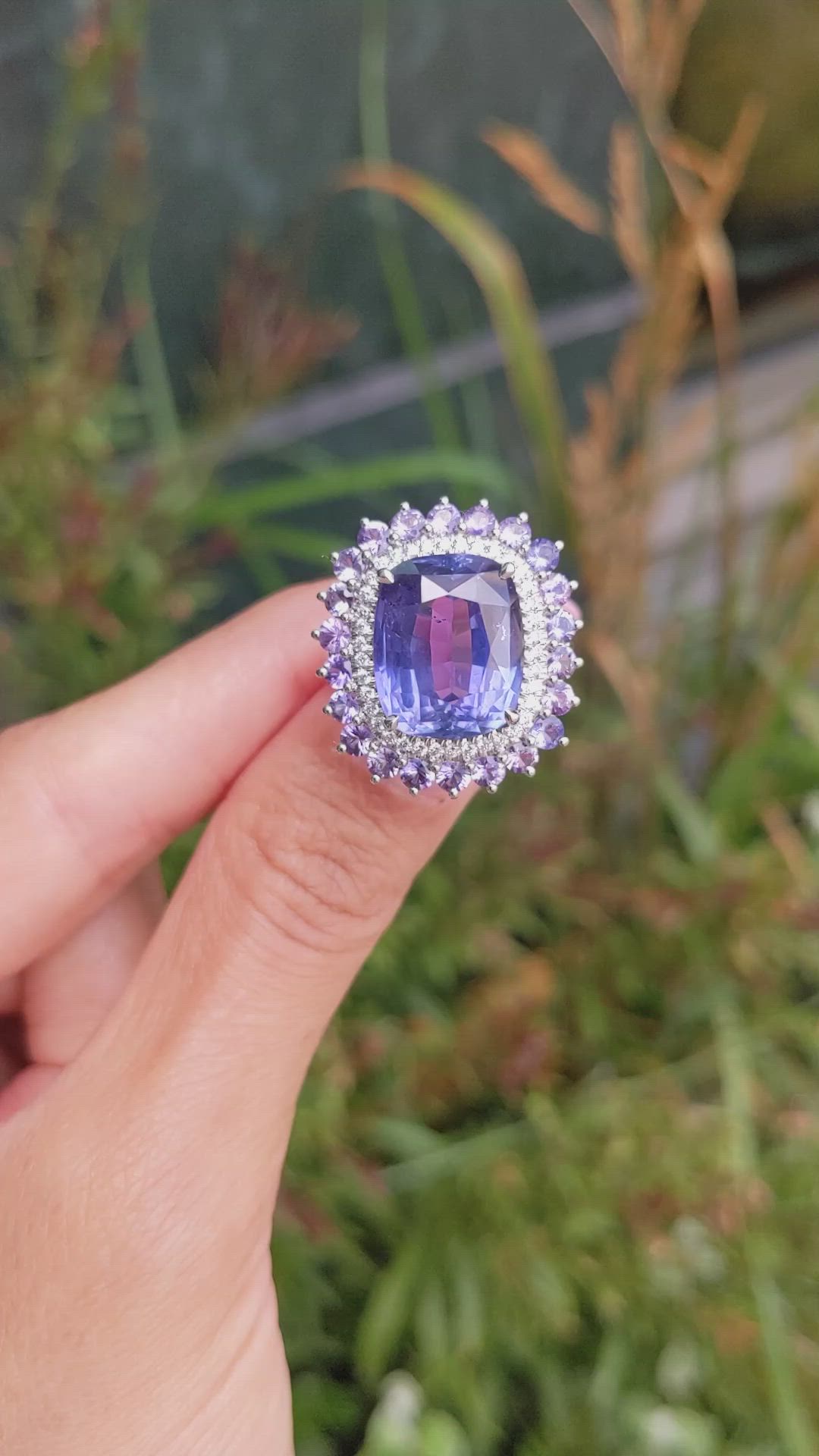 11.64 Ct. Mixed Sapphire and Natural Diamond Pave Ring, Platinum 950 Size Video