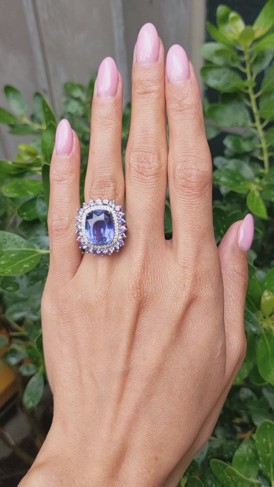 11.64 Ct. Mixed Sapphire and Natural Diamond Pave Ring, Platinum 950 Size Video