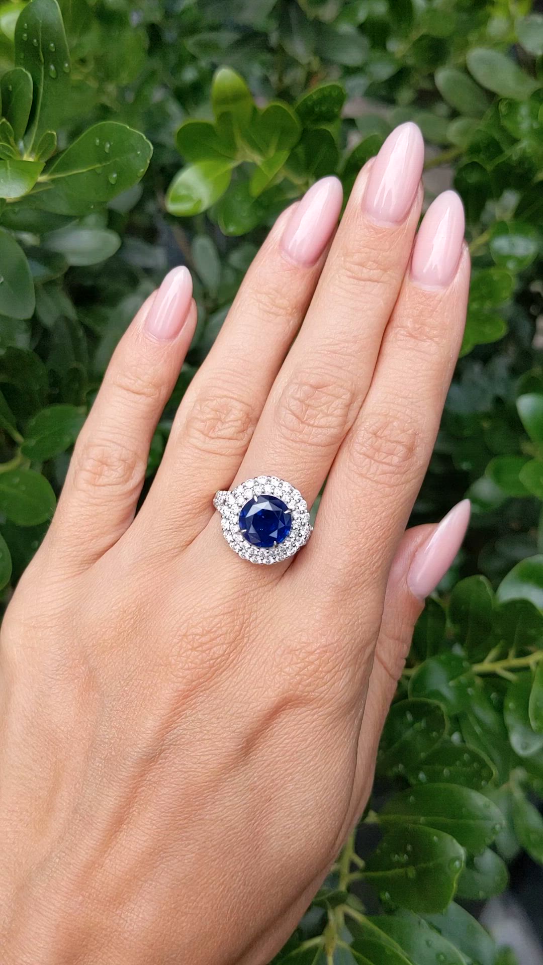 3.28 Ct. Blue Sapphire and Natural Diamond Pave Ring, 14K White Gold Size Video