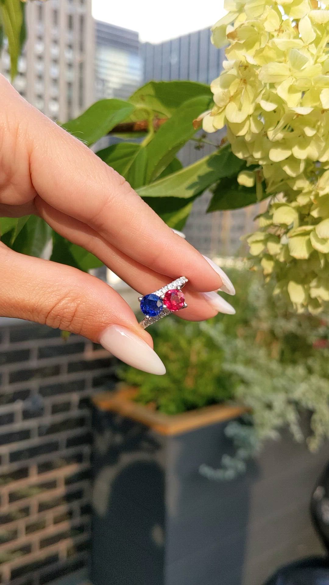 2.31 Ct.Tw.Total Carat Weight Ruby, Blue Sapphire and Natural Diamond Pave Ring, 14K White Gold Size Video