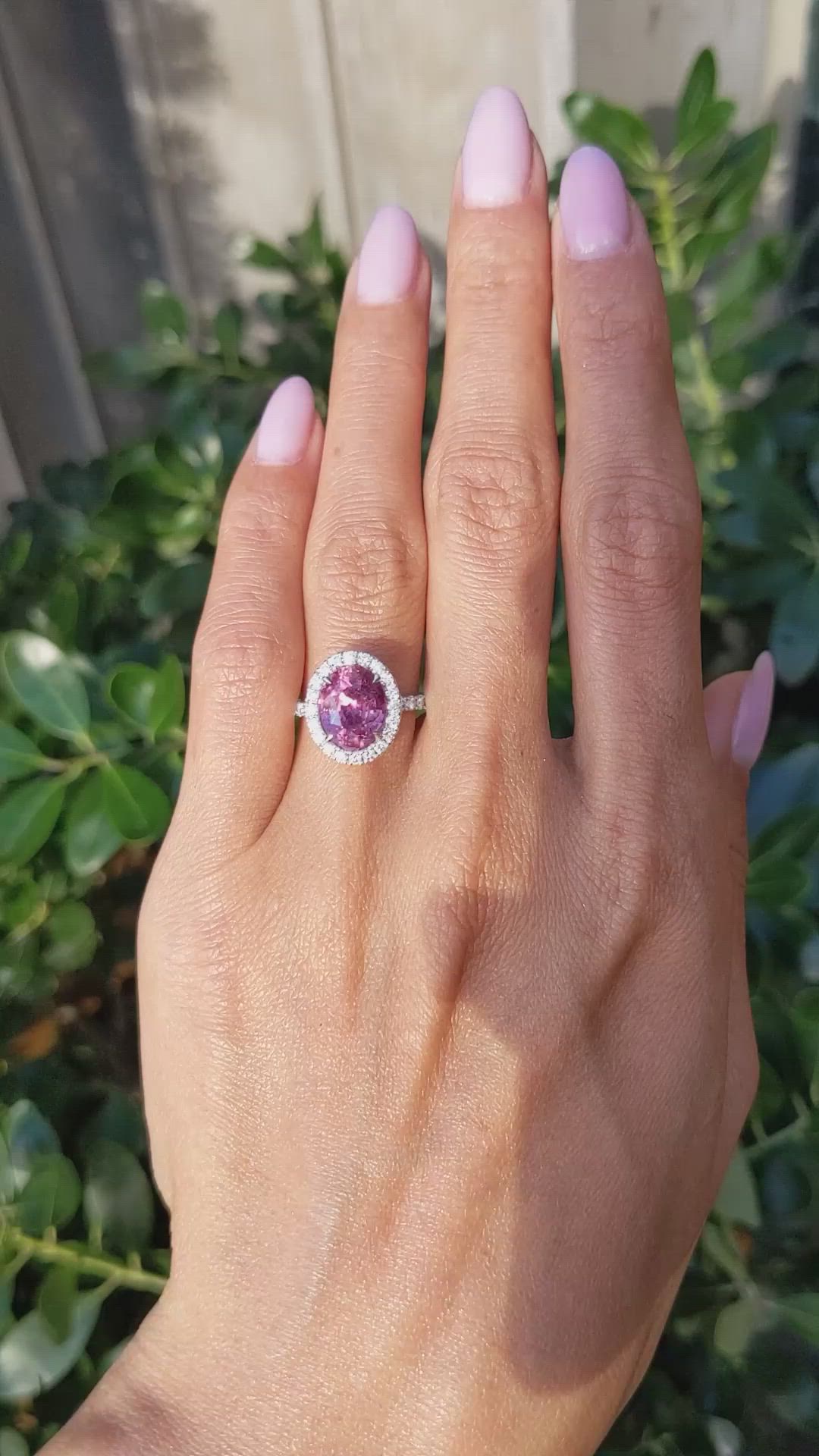 4.24 Ct. Pink Sapphire and Natural Diamond Pave Ring, 18K White Gold Size Video