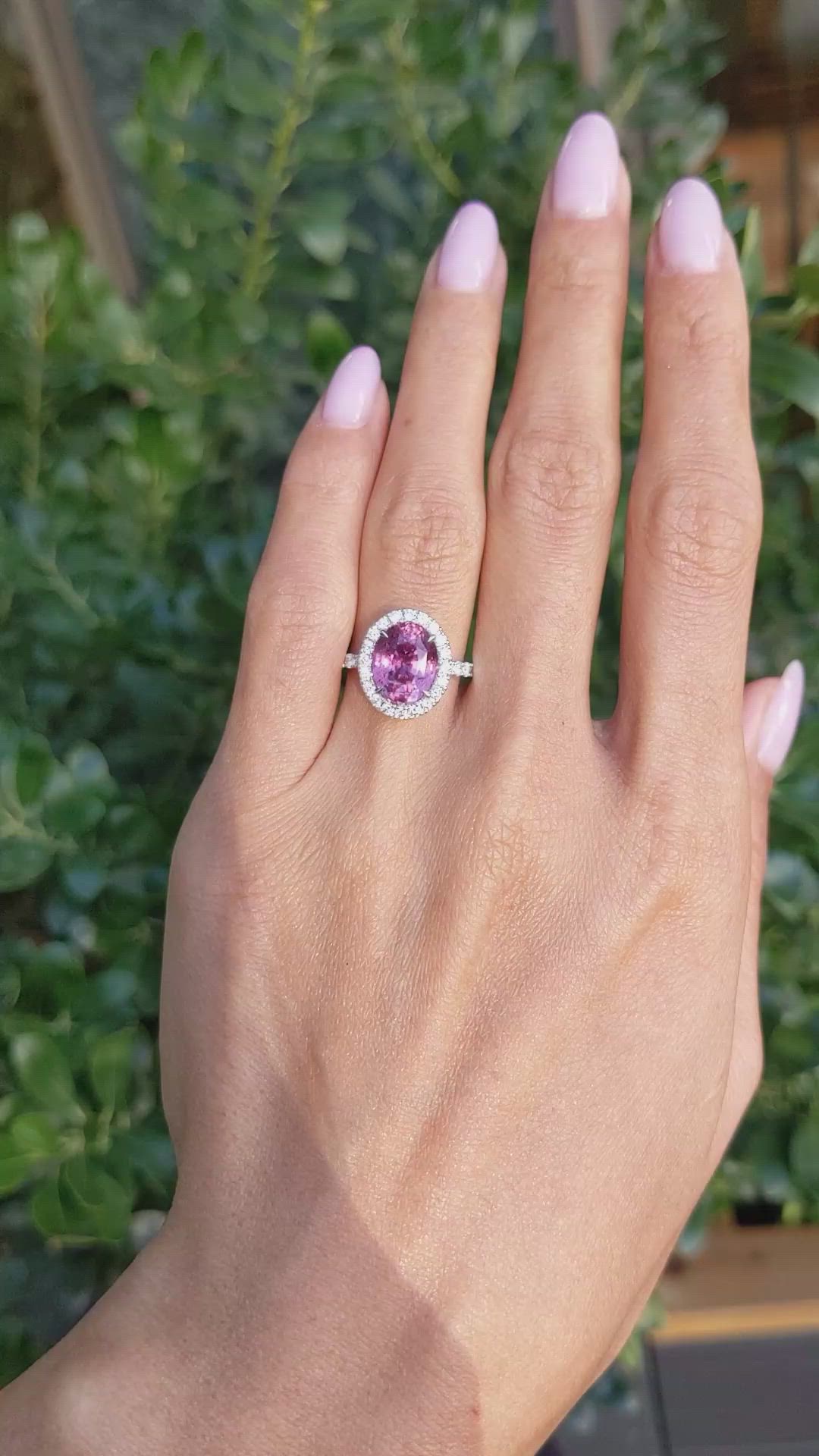 4.24 Ct. Pink Sapphire and Natural Diamond Pave Ring, 18K White Gold Size Video