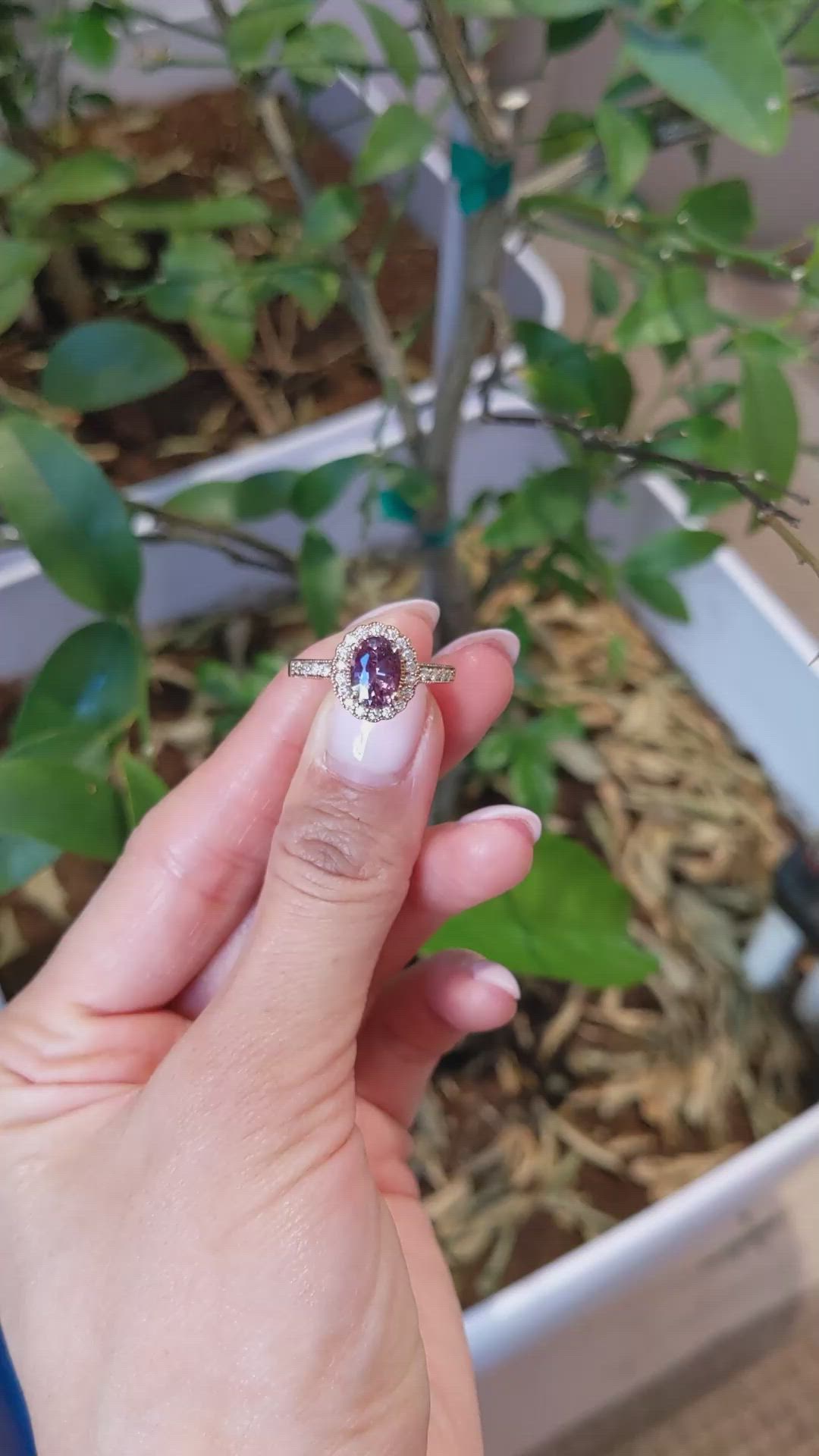 1.69 Ct. Reddish Pink Sapphire and Natural Diamond Pave Ring, 14K Rose Gold Size Video