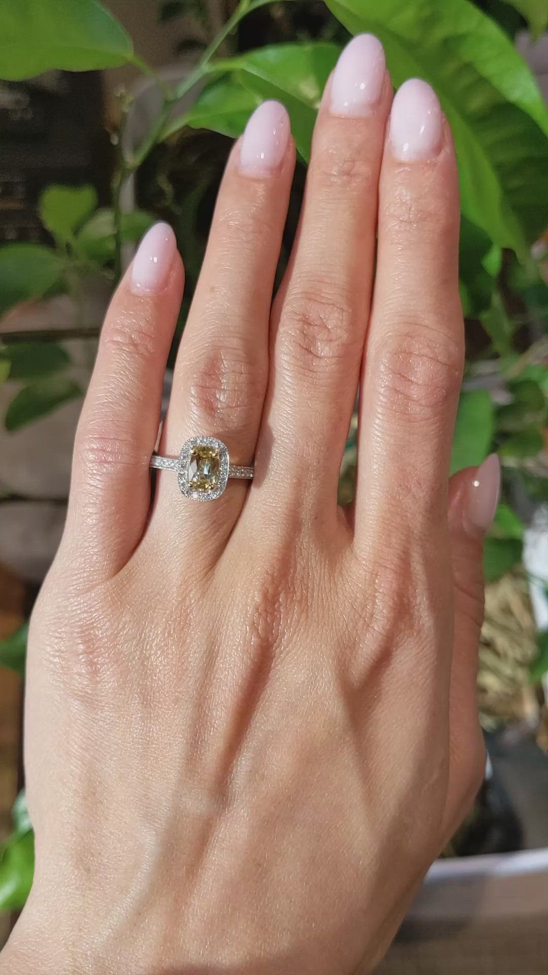 1.10 Ct. Yellow Sapphire and Natural Diamond Pave Ring, 14K White & Yellow Size Video