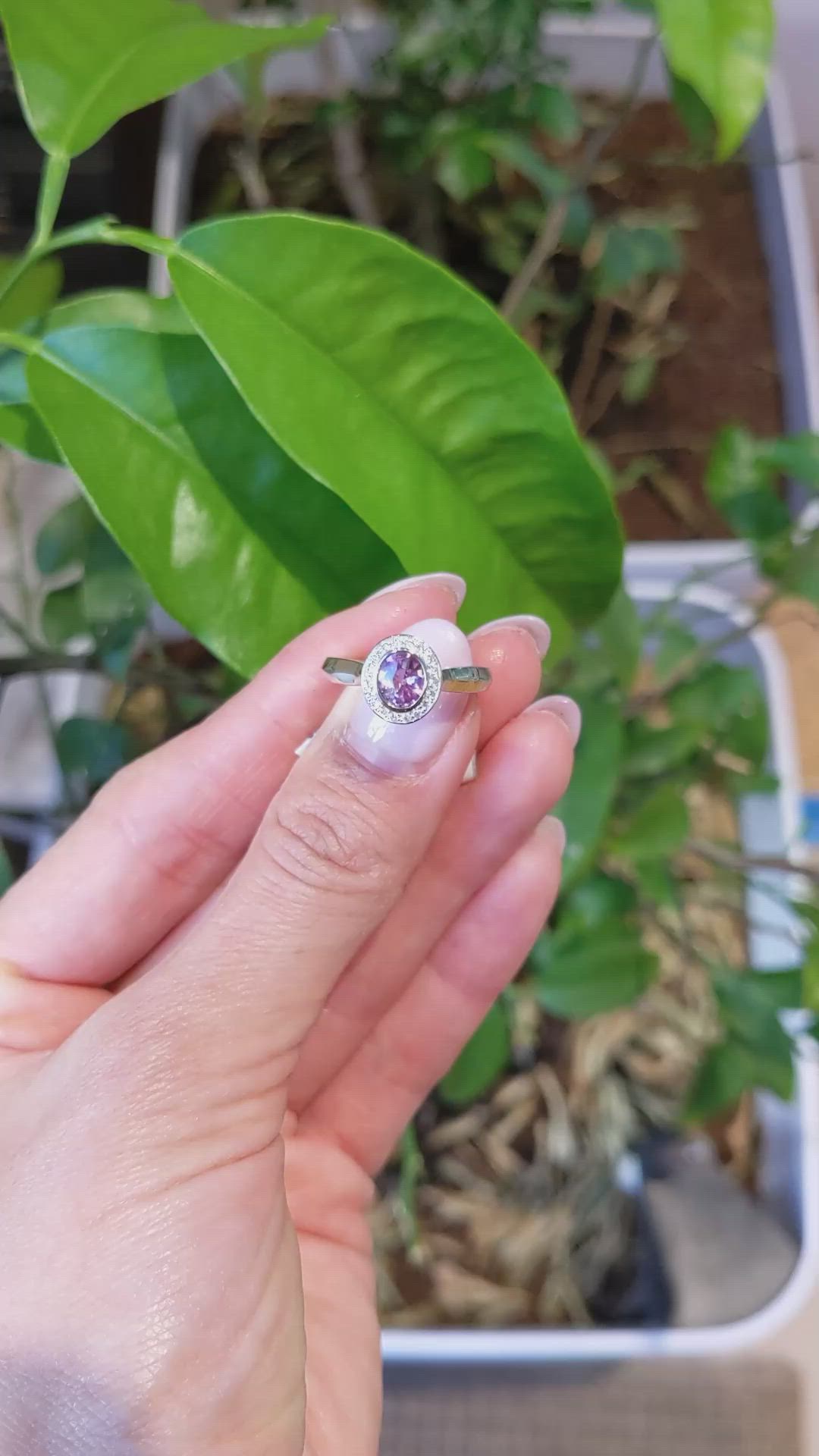 0.62 Ct. Purplish Pink Sapphire and Natural Diamond Halo Ring, 14K White Gold Size Video