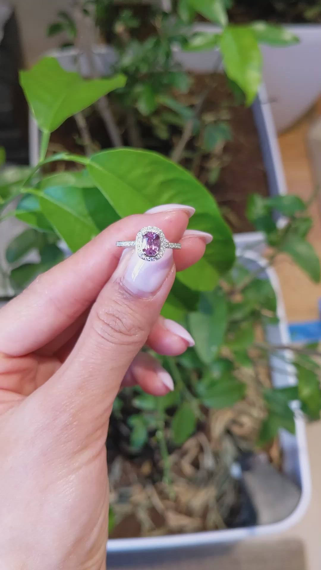 0.81 Ct. Pink Sapphire and Natural Diamond Pave Ring, 14K White Gold Size Video