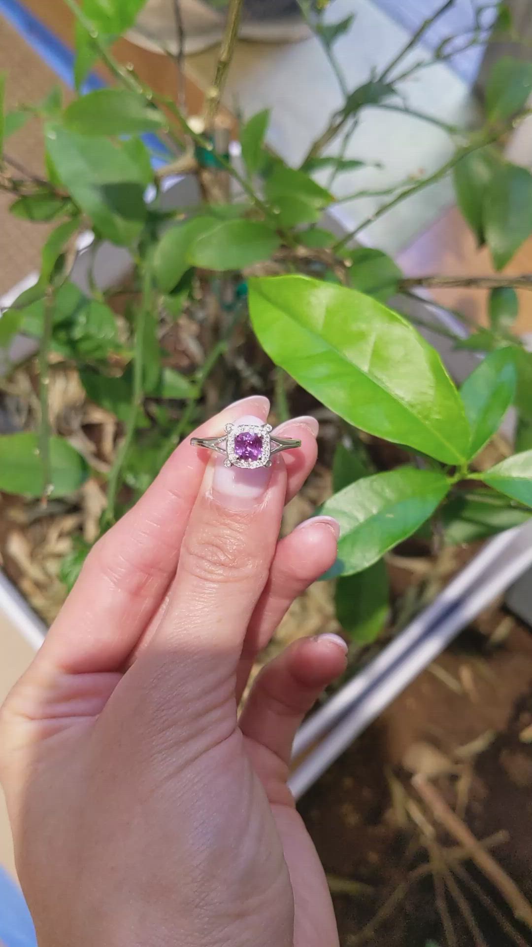 0.90 Ct. Purplish Pink Sapphire and Natural Diamond Antique Style Ring, Platinum 950 Size Video