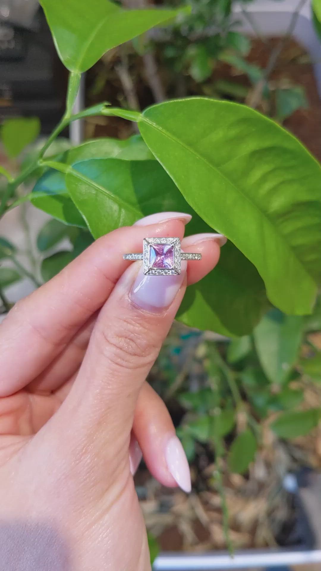 0.66 Ct. Pink Sapphire and Natural Diamond Pave Ring, 14K White Gold Size Video