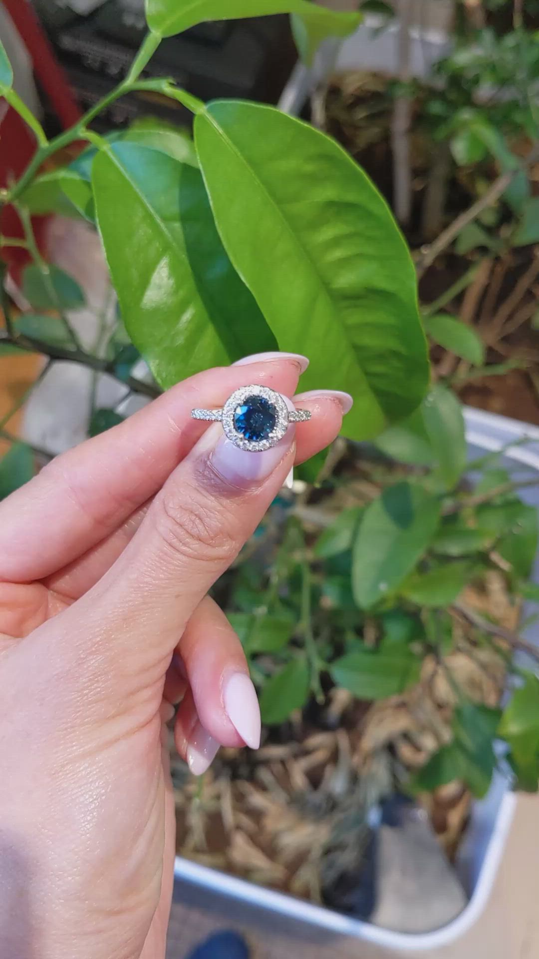 1.55 Ct. Greenish Blue Sapphire and Natural Diamond Pave Ring, 18K White Gold Size Video