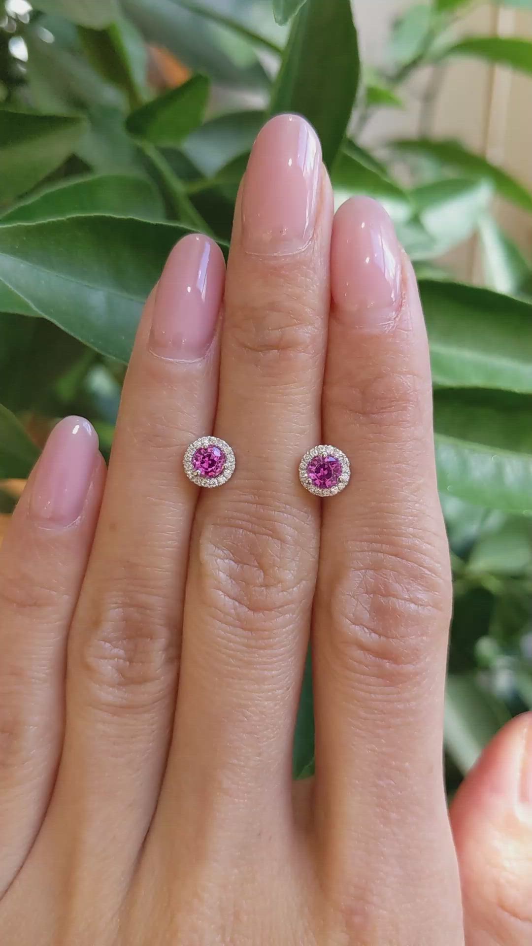 0.65&nbsp;Ct.Tw.Total Carat Weight Pink Sapphire and Natural Diamond Pave Earrings, 18K White Gold Size Video