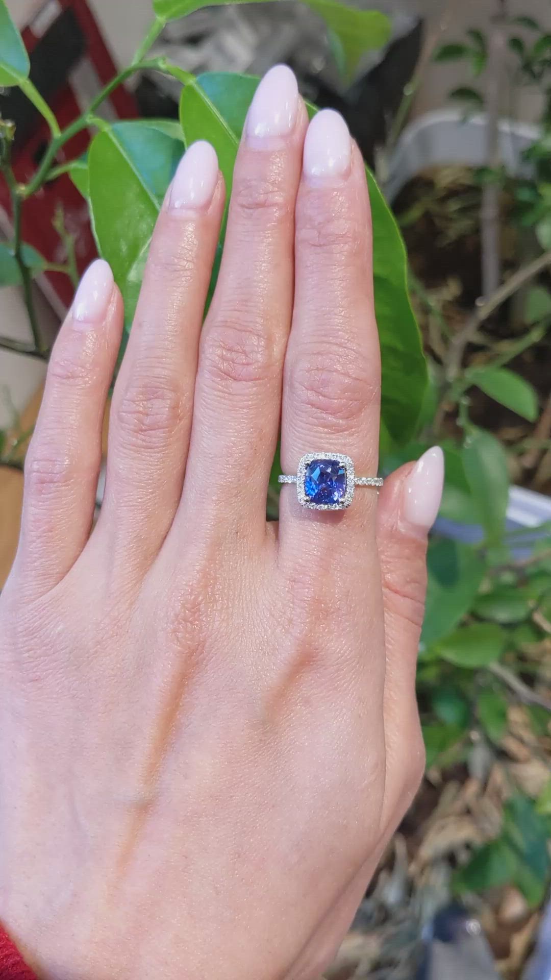2.08 Ct. Color Change Sapphire and Natural Diamond Pave Ring, Platinum 950 Size Video