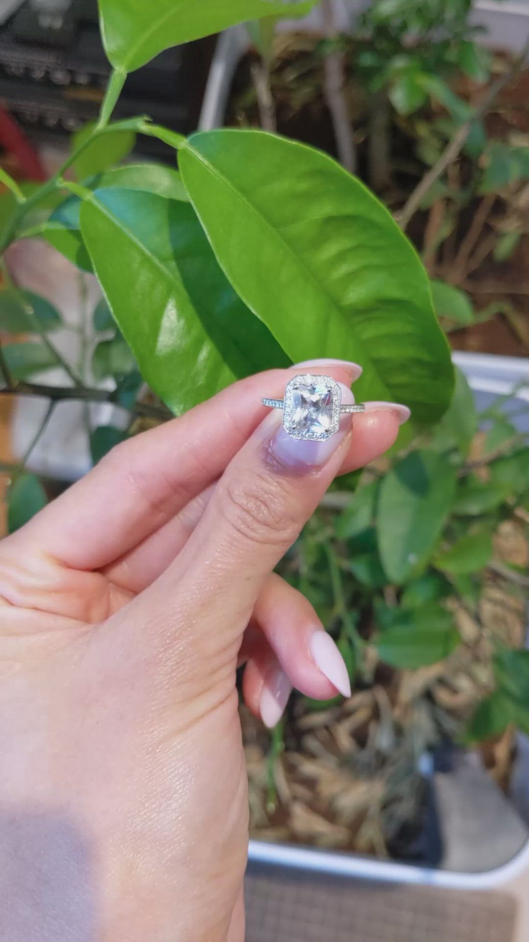 2.80 Ct. White Sapphire and Natural Diamond Pave Ring, 14K White Gold Size Video