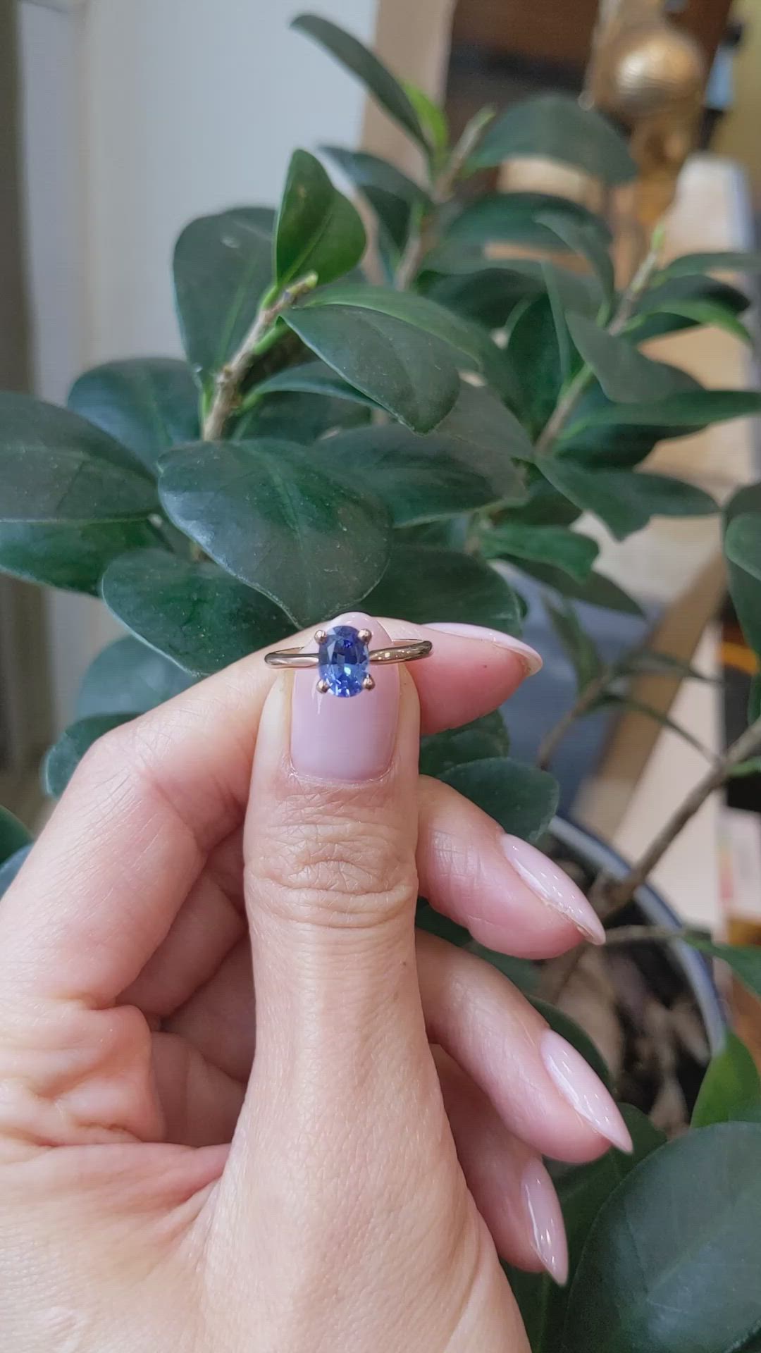 1.04 Ct. Blue Sapphire Solitaire Ring, 14K Rose Gold Size Video