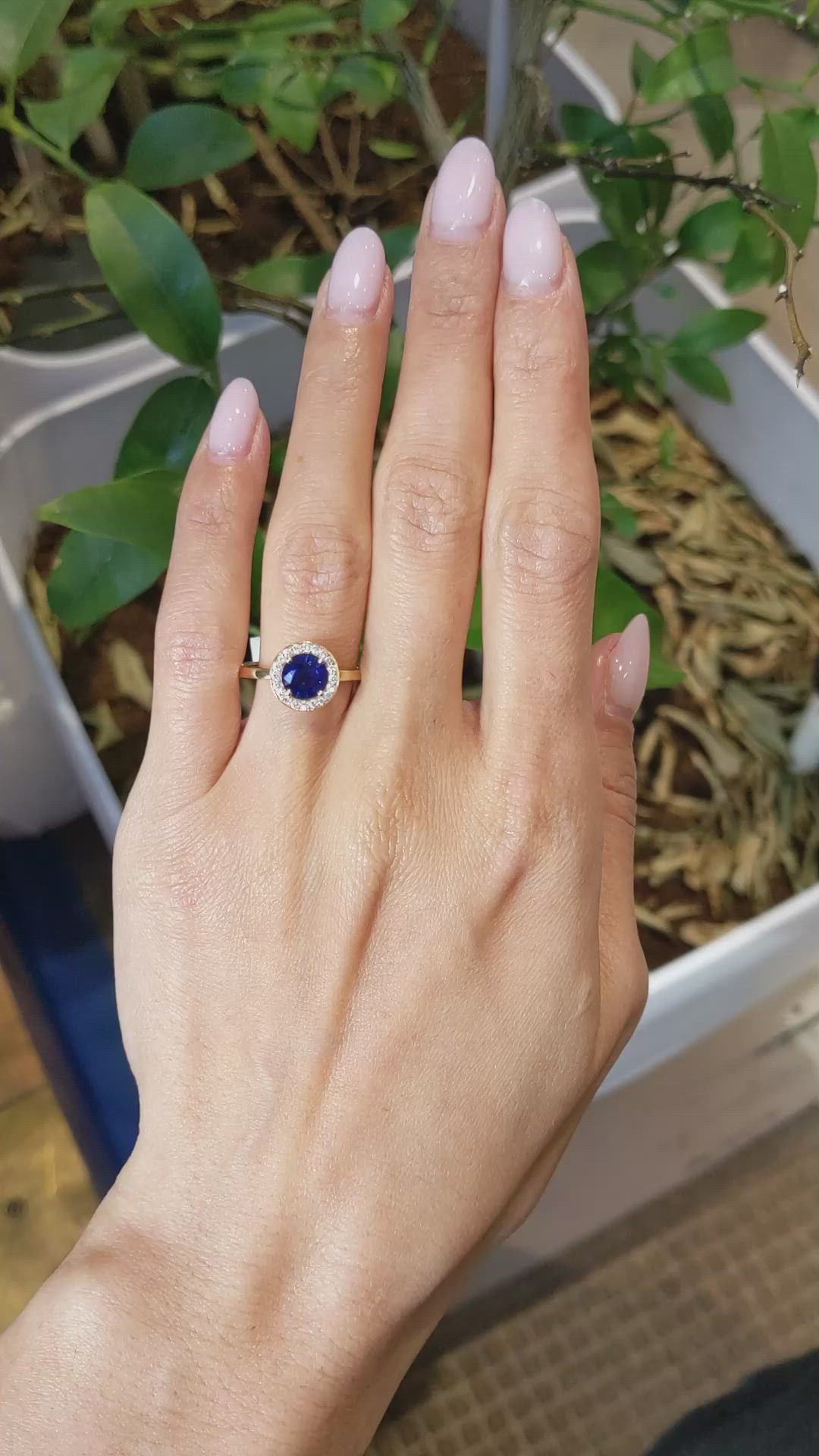 1.07 Ct. Blue Sapphire and Natural Diamond Pave Ring, 18K Yellow Gold Size Video