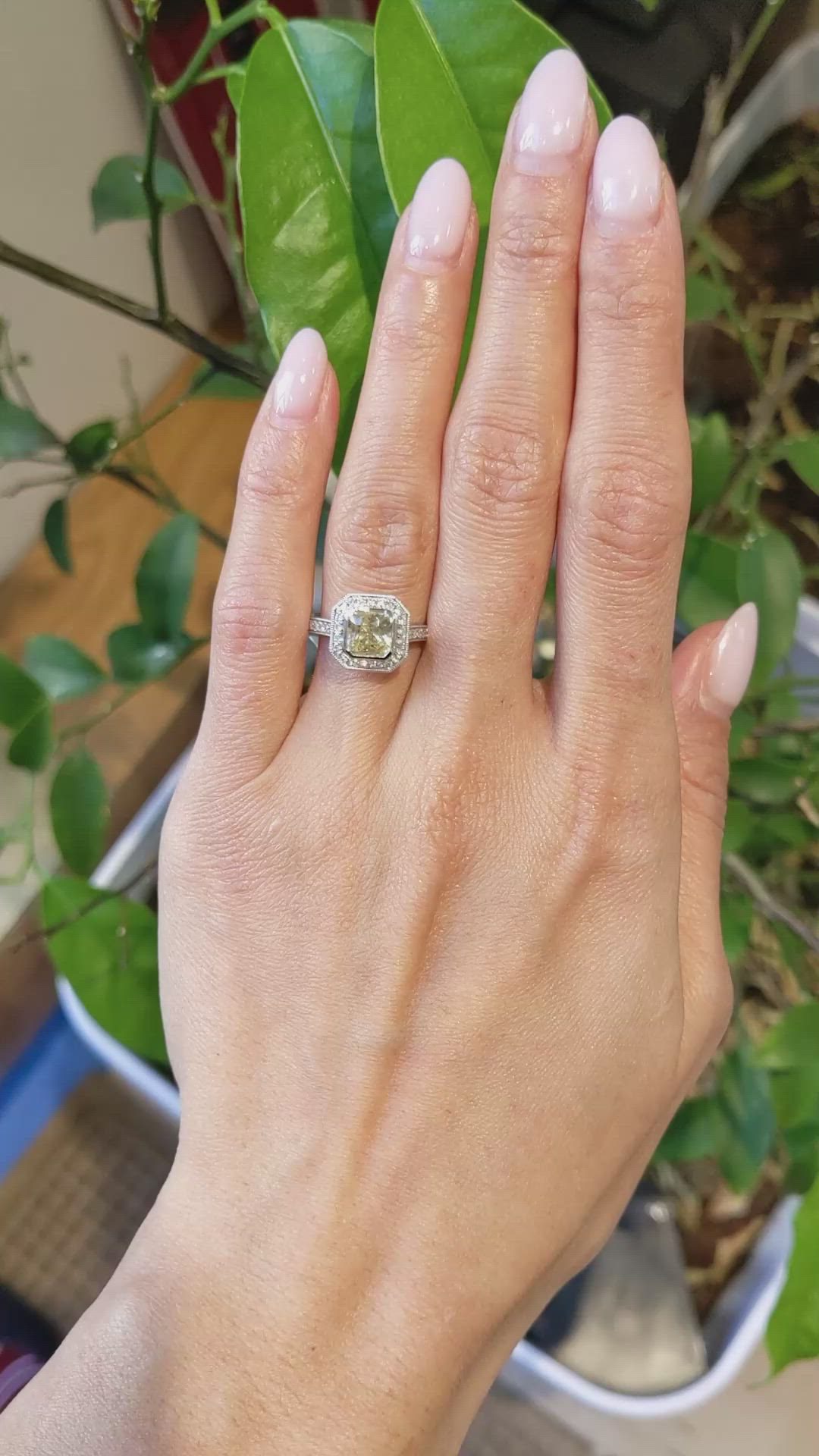 1.56 Ct. Yellow Sapphire and Natural Diamond Pave Ring, Platinum 950 Size Video