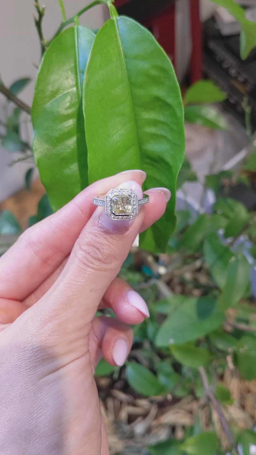 1.56 Ct. Yellow Sapphire and Natural Diamond Pave Ring, Platinum 950 Size Video