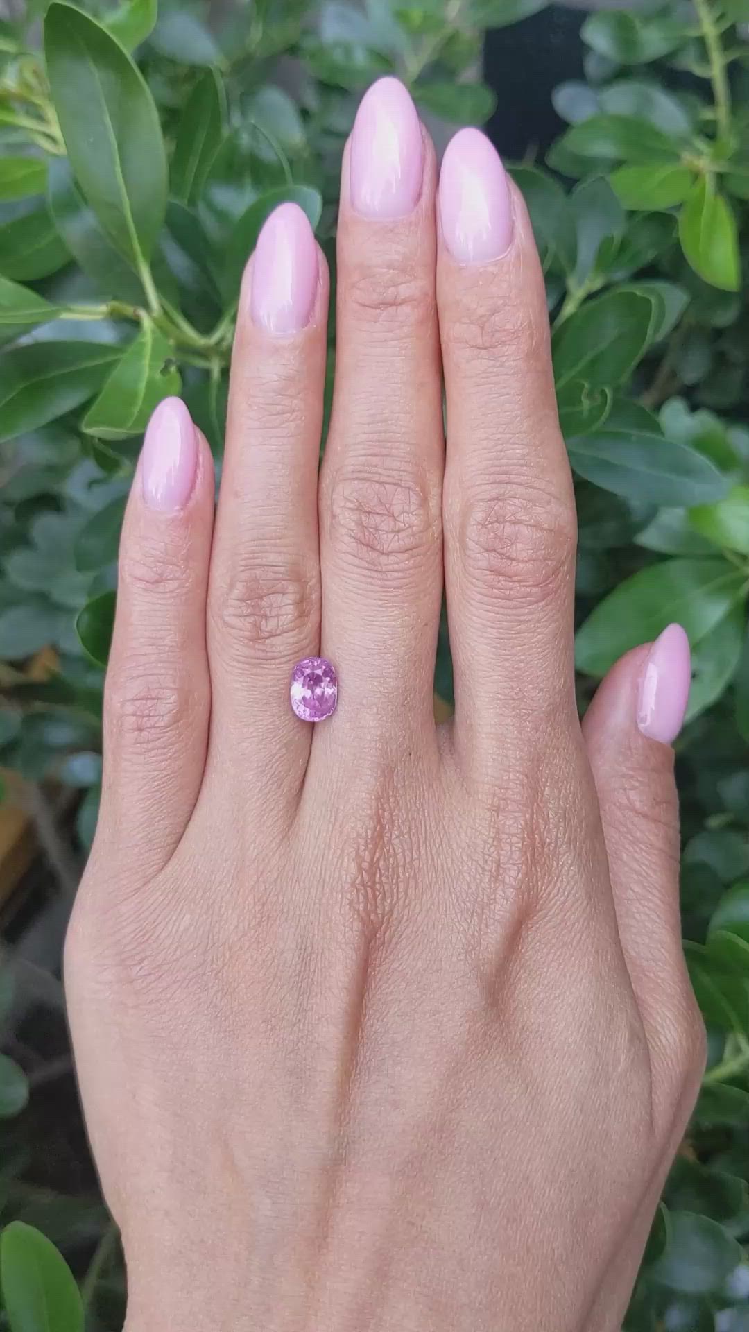 2.35 Ct. Purplish Pink Sapphire from Ceylon (Sri Lanka) Size Video