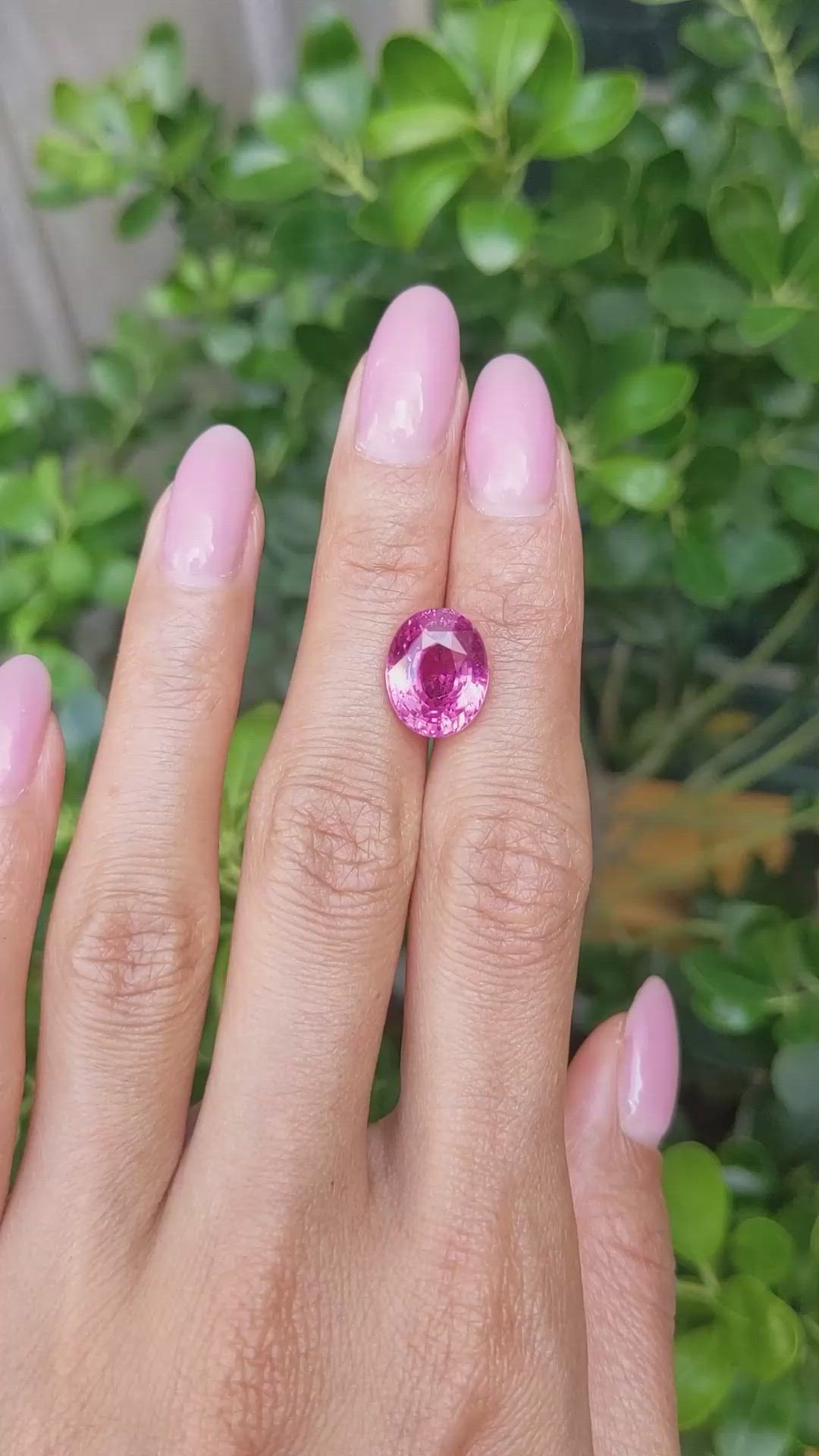 8.00 Ct. Purplish Pink Sapphire from Madagascar Size Video