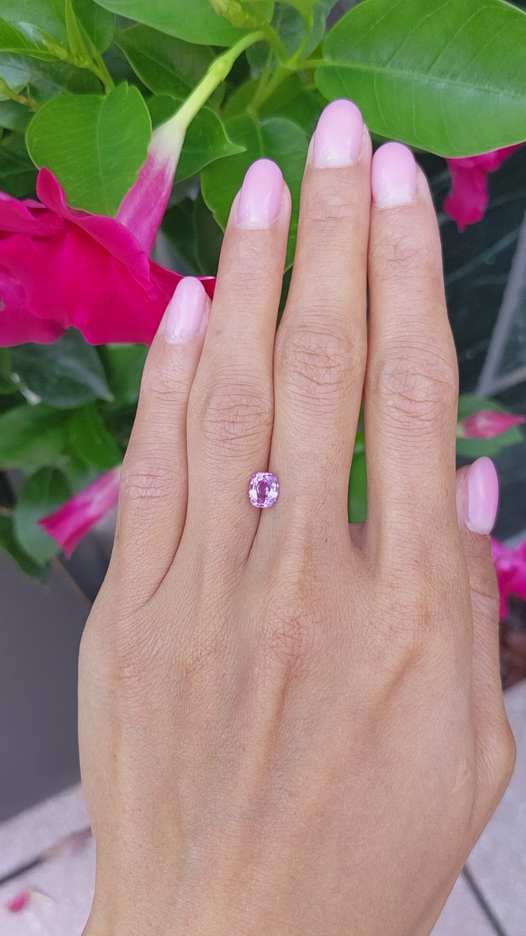 1.41 Ct. Pink Sapphire from Ceylon (Sri Lanka) Size Video