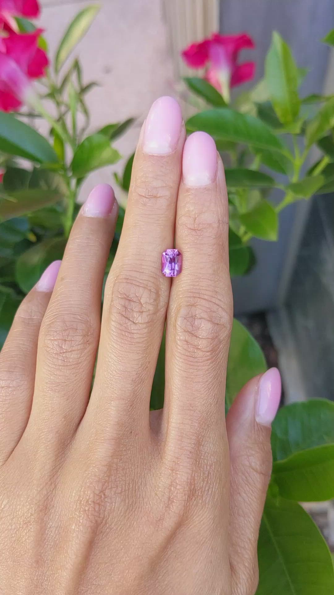 1.26 Ct. Pink Sapphire from Ceylon (Sri Lanka) Size Video