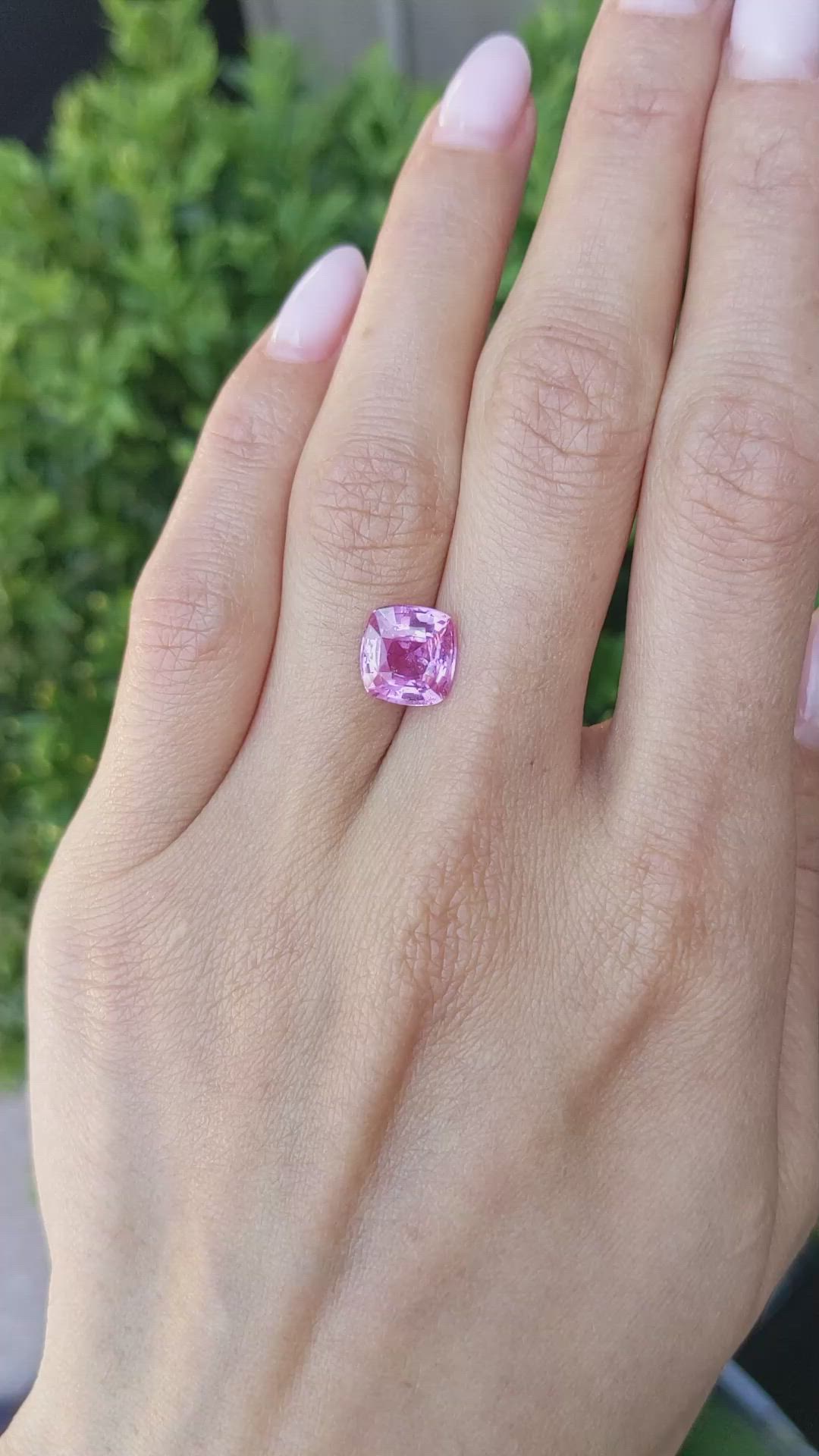 3.42 Ct. Pink Sapphire from Ceylon (Sri Lanka) Size Video