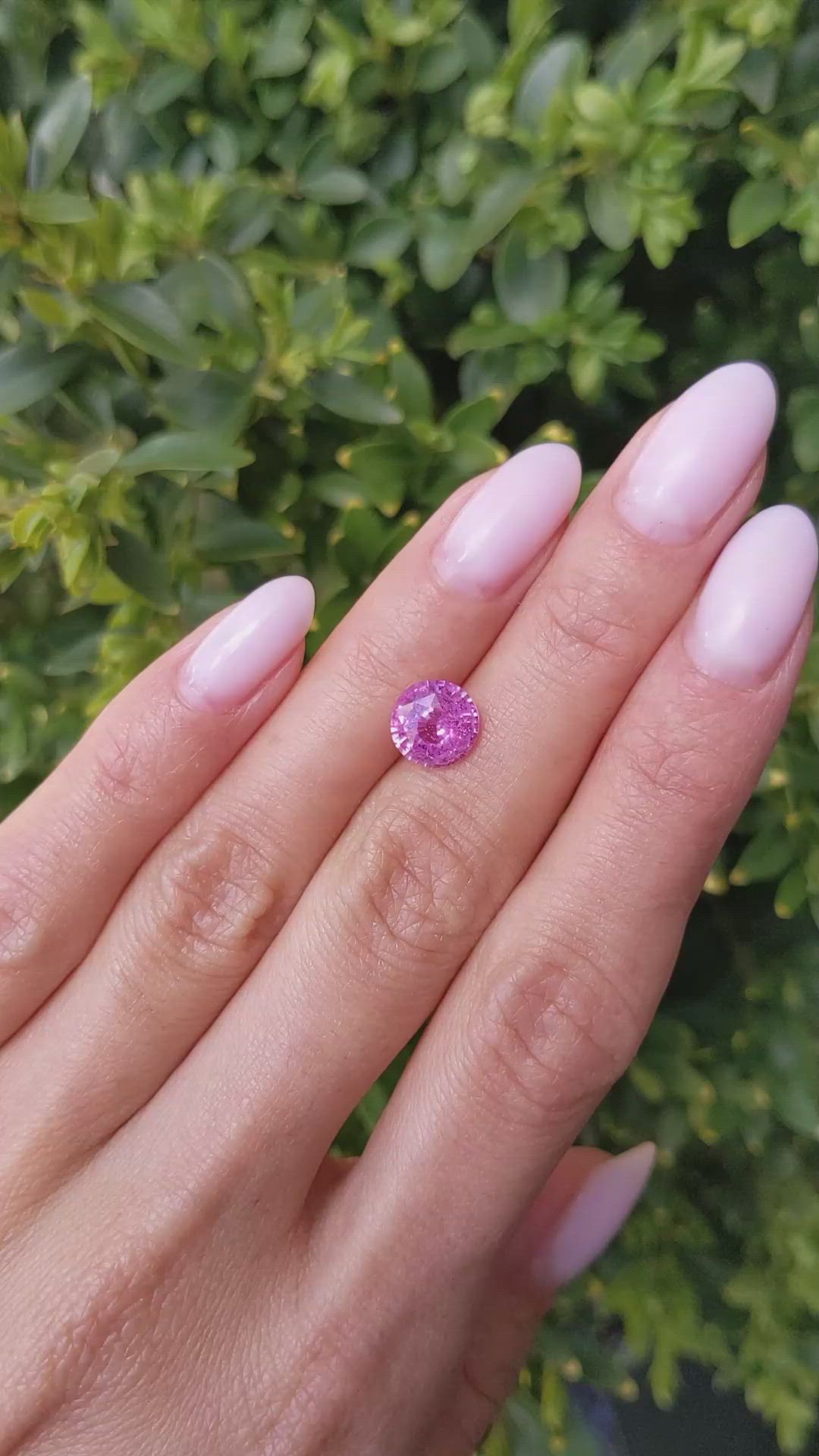 2.66 Ct. Pink Sapphire from Ceylon (Sri Lanka) Size Video