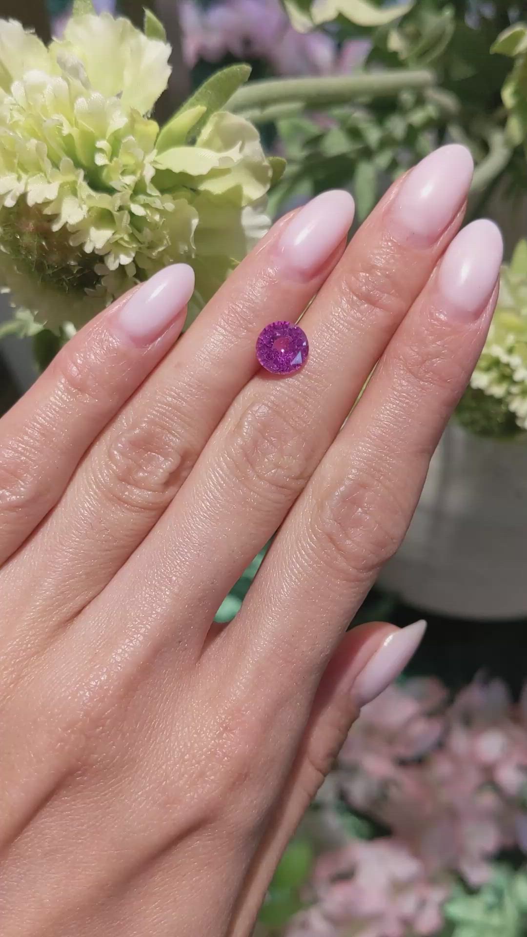 2.66 Ct. Pink Sapphire from Ceylon (Sri Lanka) Size Video