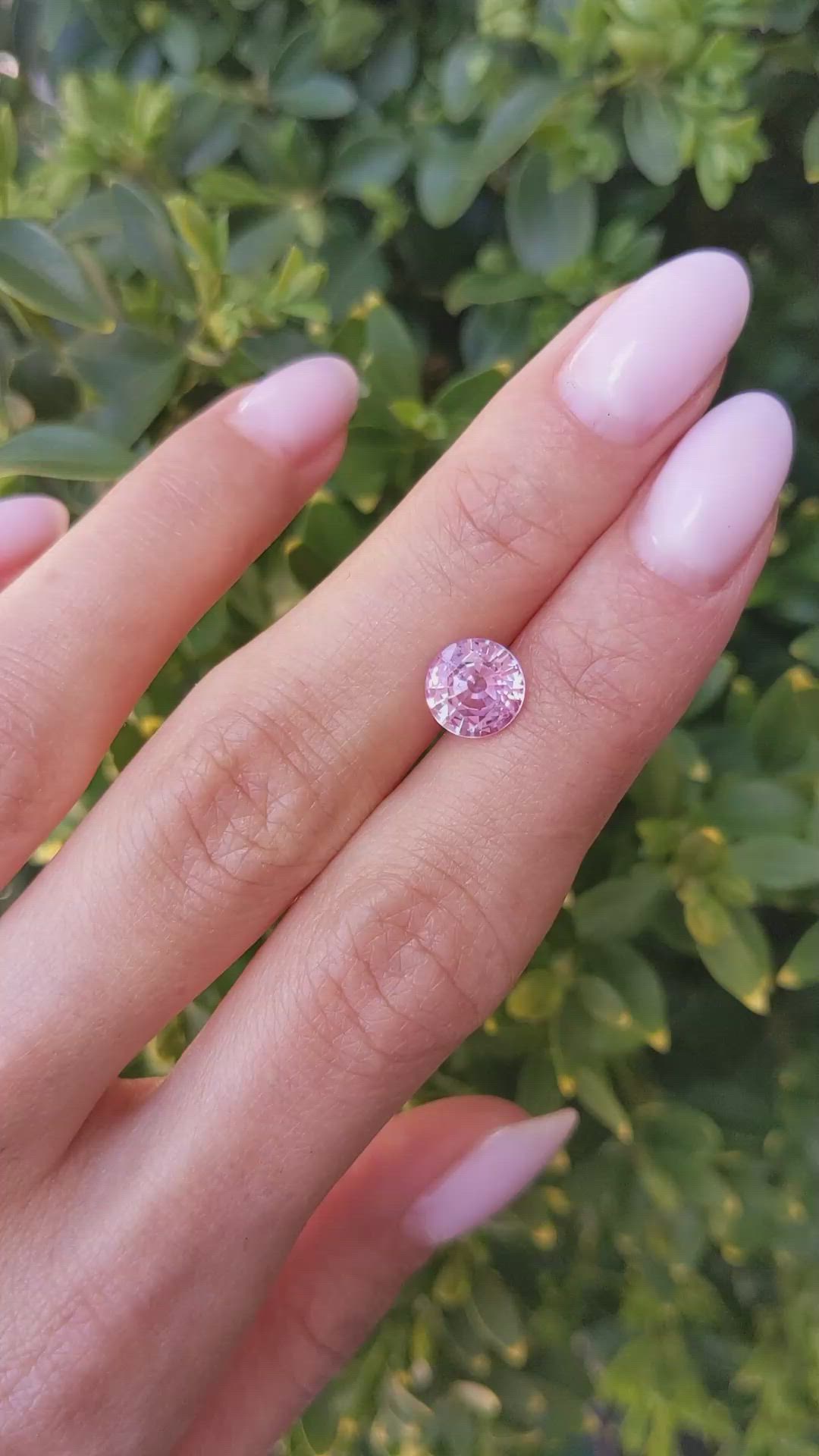 2.15 Ct. Pink Sapphire from Ceylon (Sri Lanka) Size Video