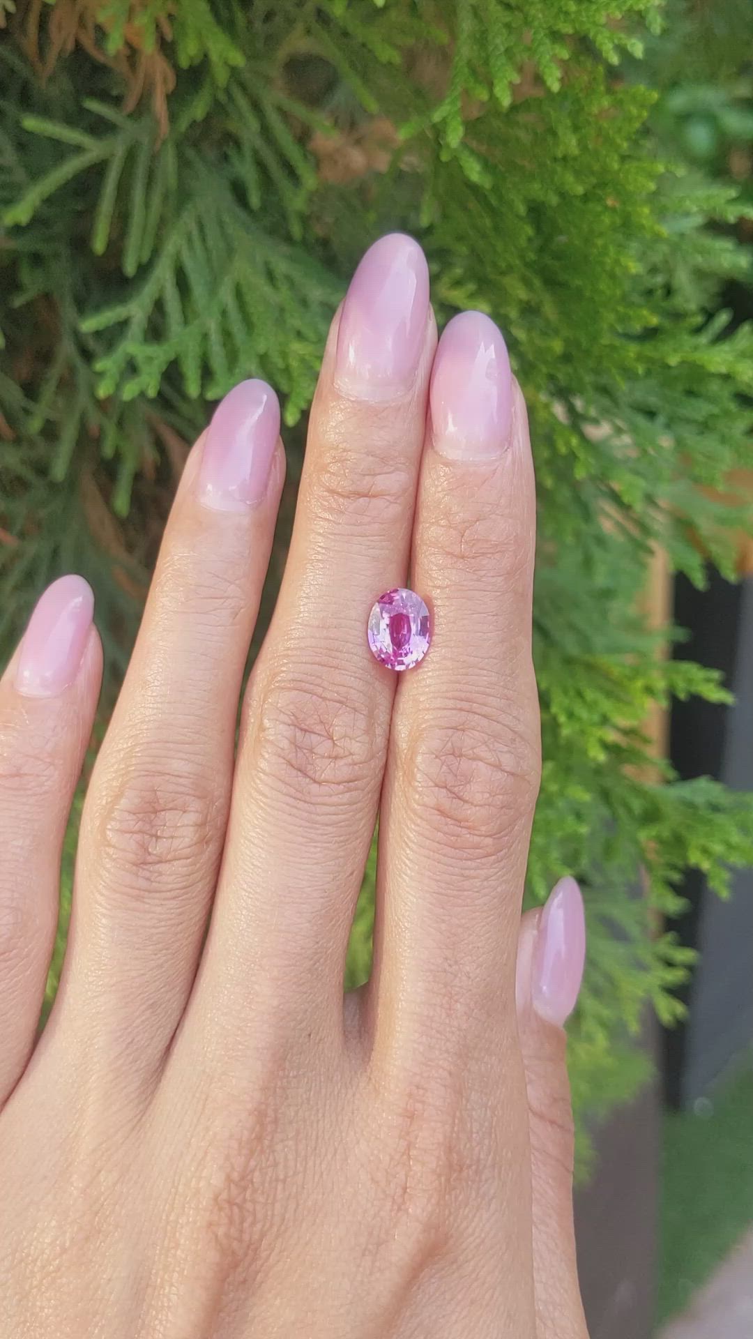 2.03 Ct. Pink Sapphire from Ceylon (Sri Lanka) Size Video