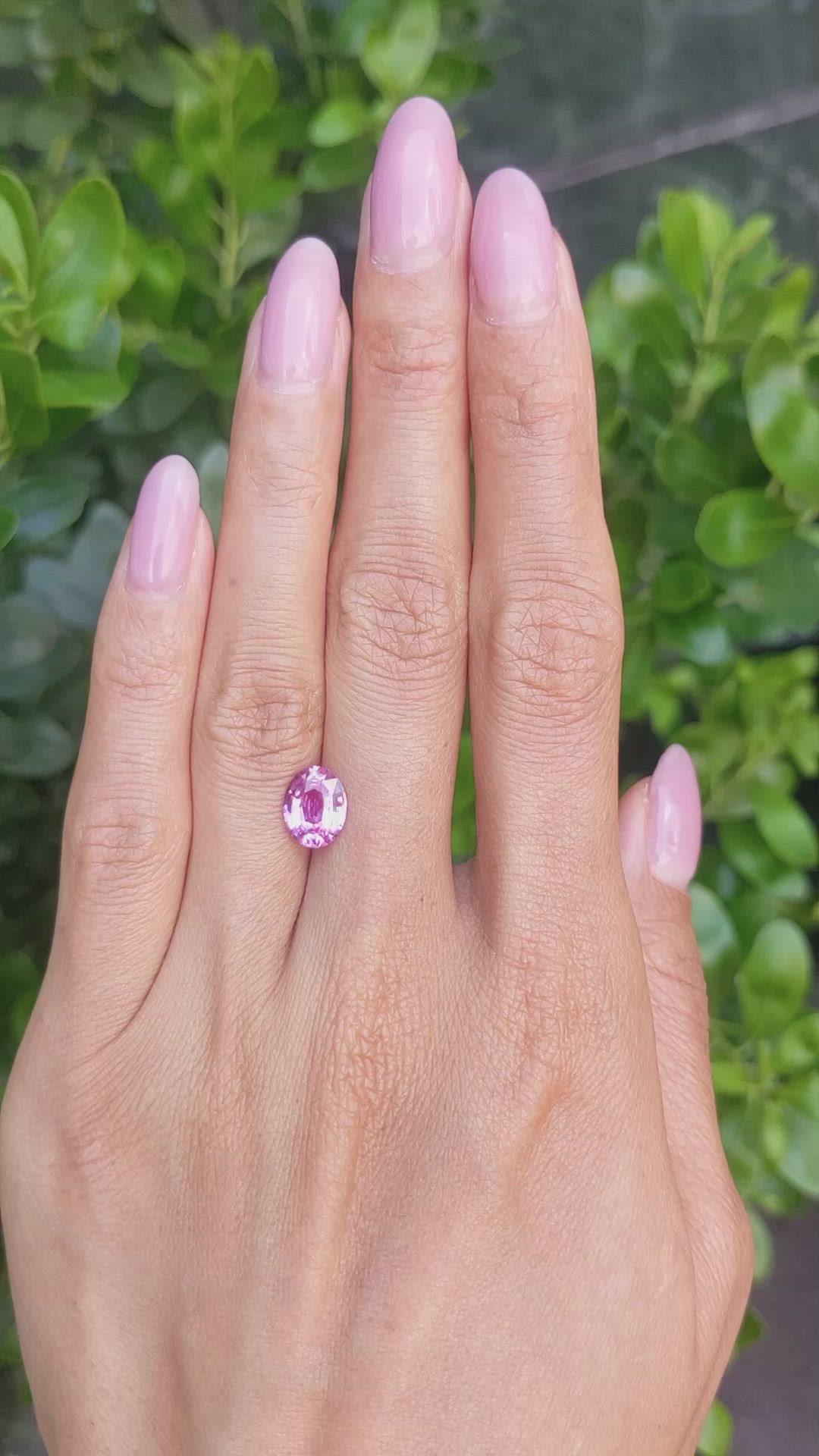 2.03 Ct. Pink Sapphire from Ceylon (Sri Lanka) Size Video