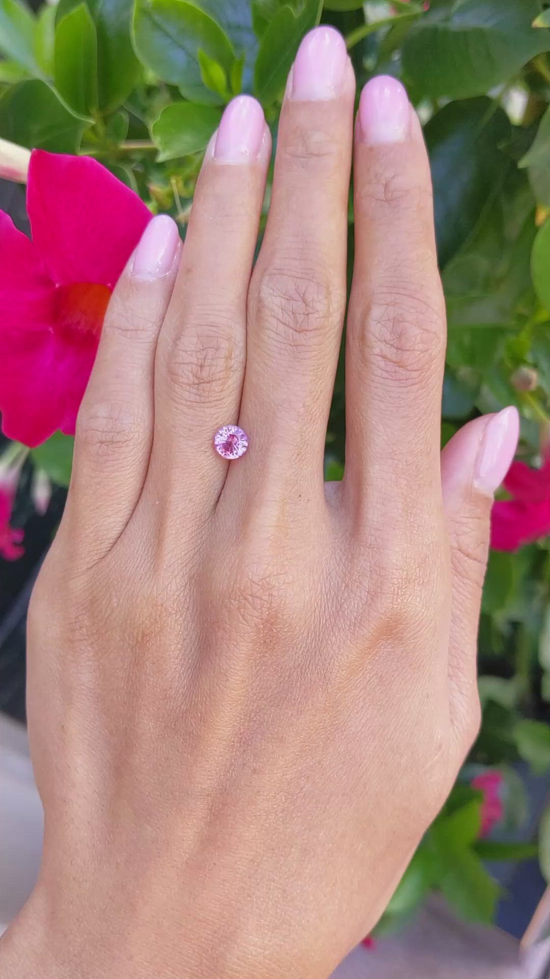 1.11 Ct. Pink Sapphire from Ceylon (Sri Lanka) Size Video