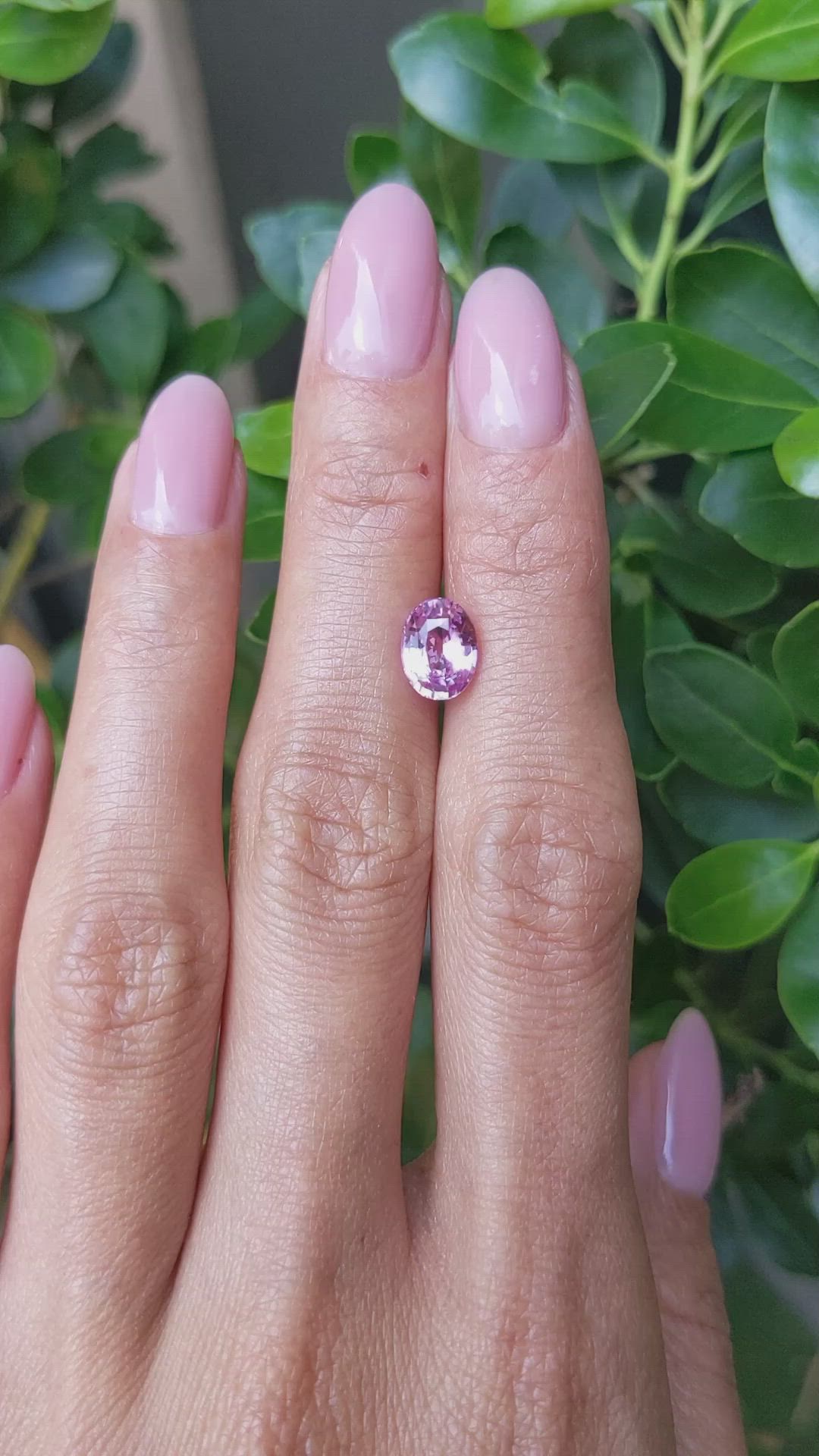 2.01 Ct. Pink Sapphire from Ceylon (Sri Lanka) Size Video
