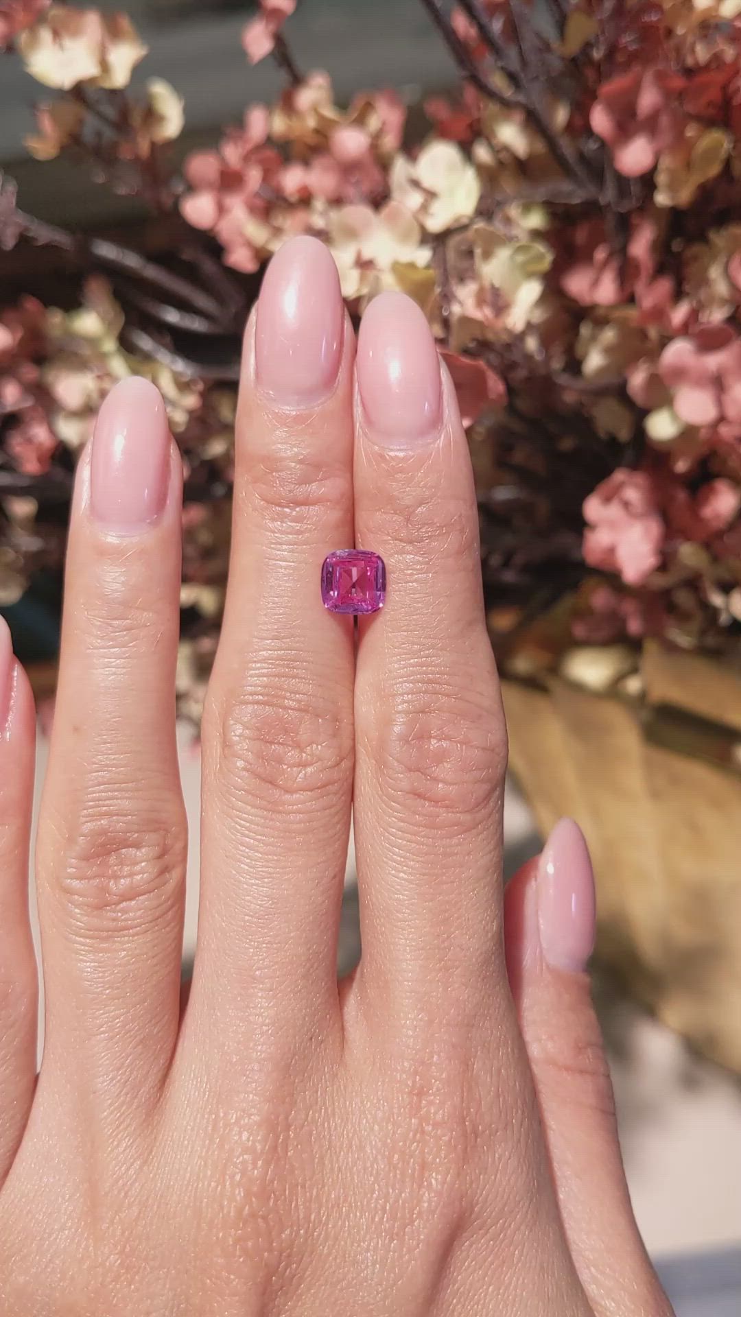 1.61 Ct. Pink Sapphire from Ceylon (Sri Lanka) Size Video