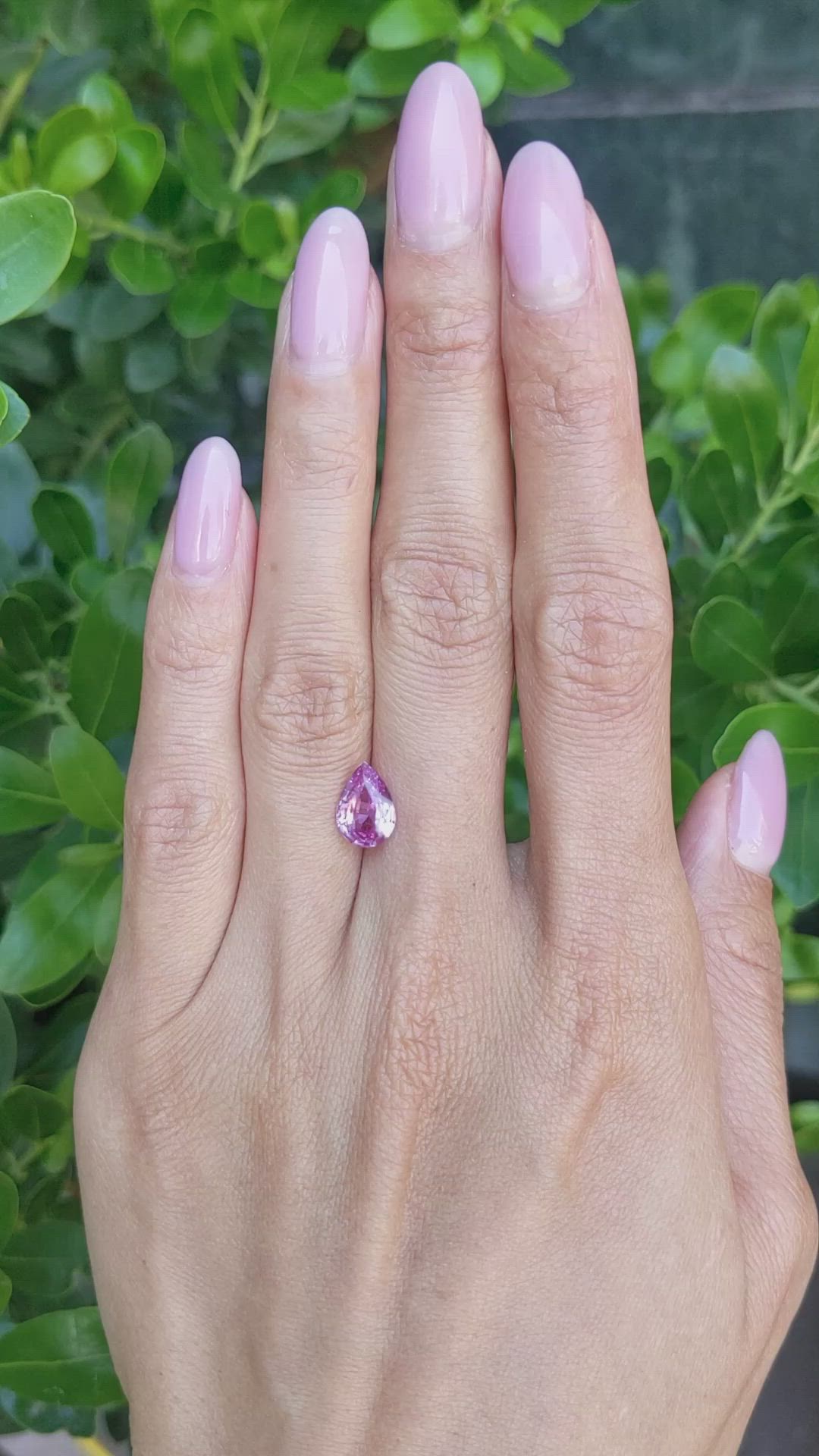 2.04 Ct. Pink Sapphire from Ceylon (Sri Lanka) Size Video