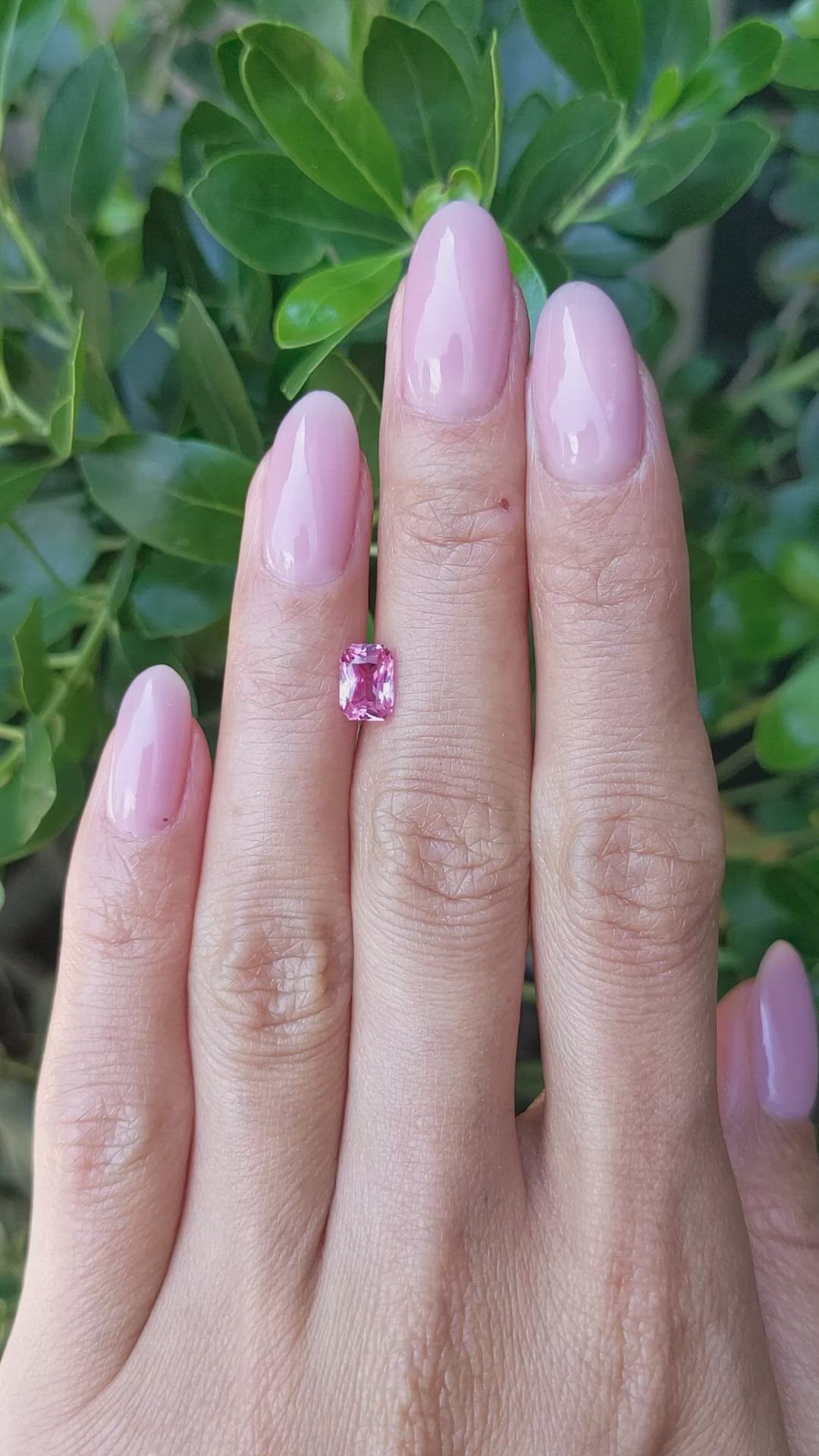 1.26 Ct. Pink Sapphire from Ceylon (Sri Lanka) Size Video