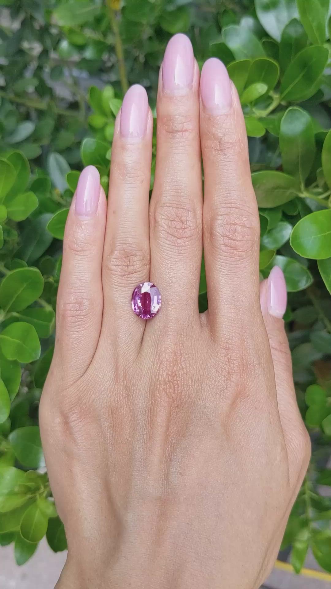 3.98 Ct. Pink Sapphire from Madagascar Size Video
