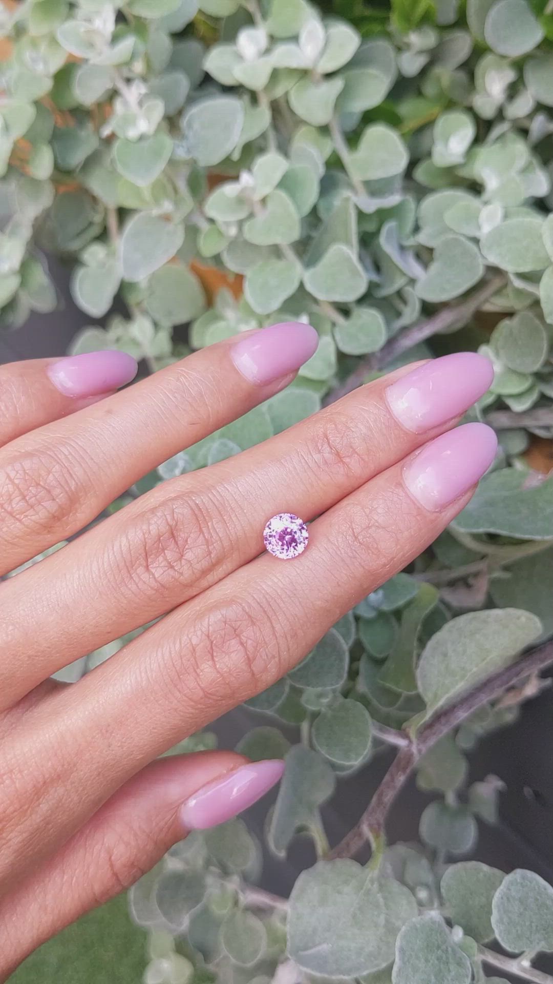 2.02 Ct. Purplish Pink Sapphire from Ceylon (Sri Lanka) Size Video