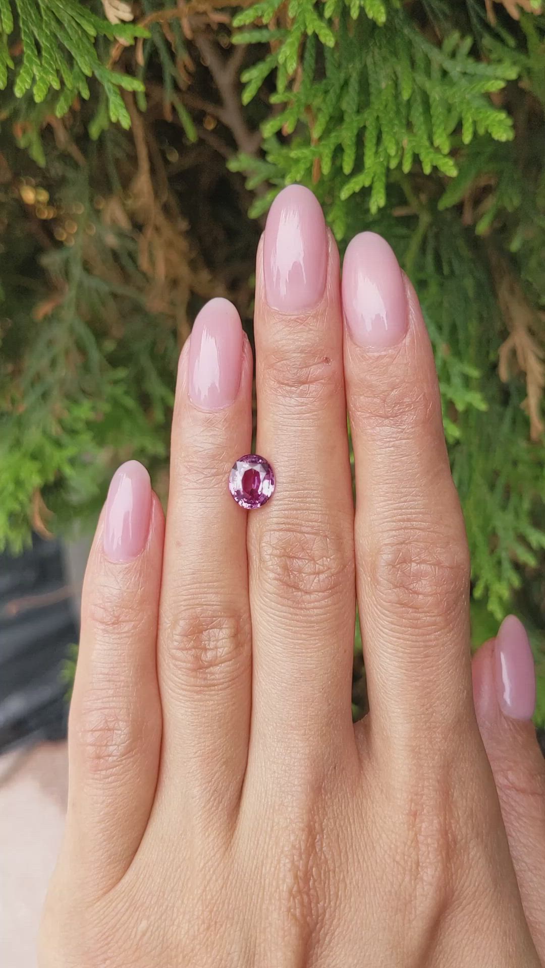 1.97 Ct. Purplish Pink Sapphire from Ceylon (Sri Lanka) Size Video