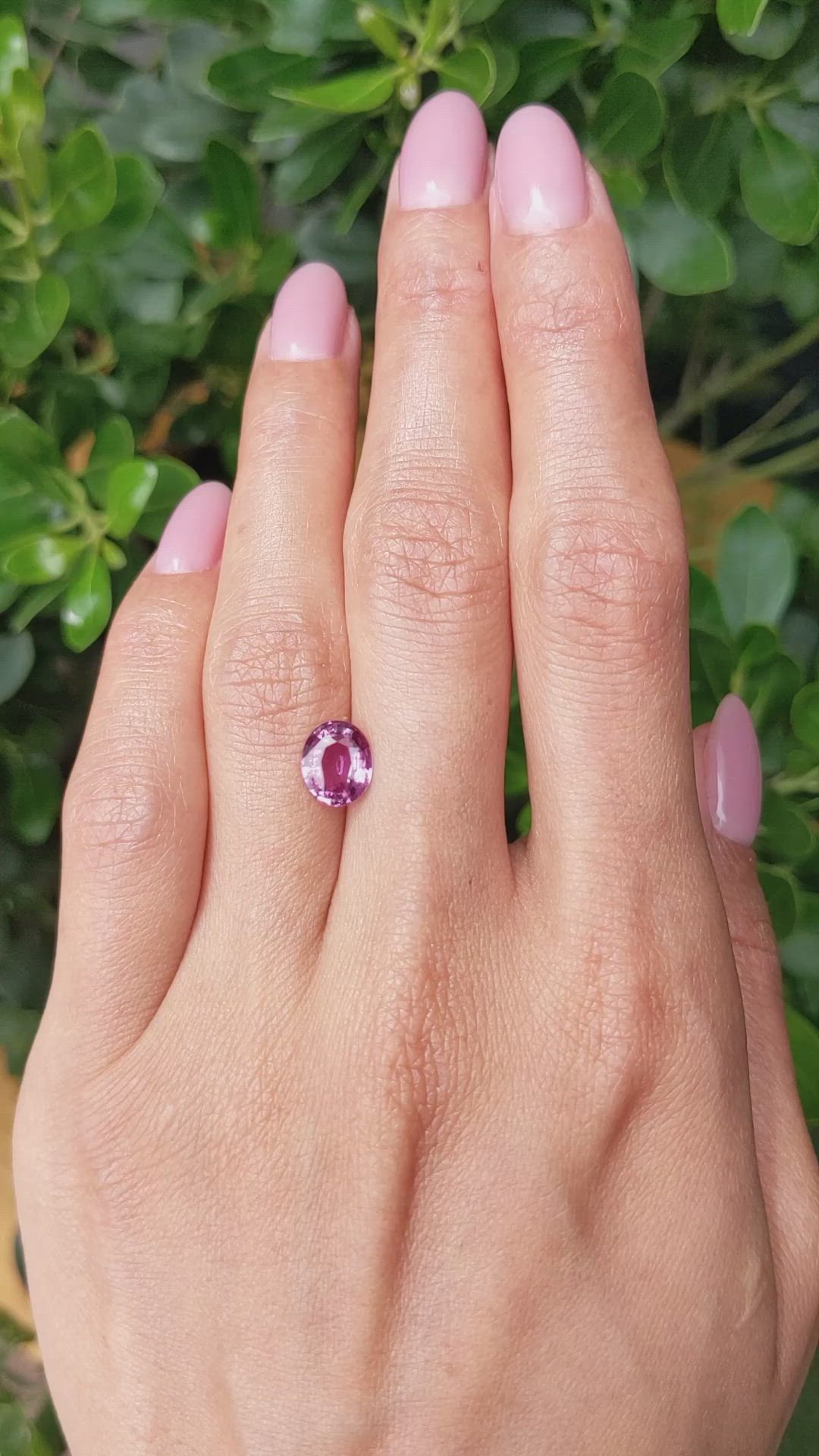 1.97 Ct. Purplish Pink Sapphire from Ceylon (Sri Lanka) Size Video