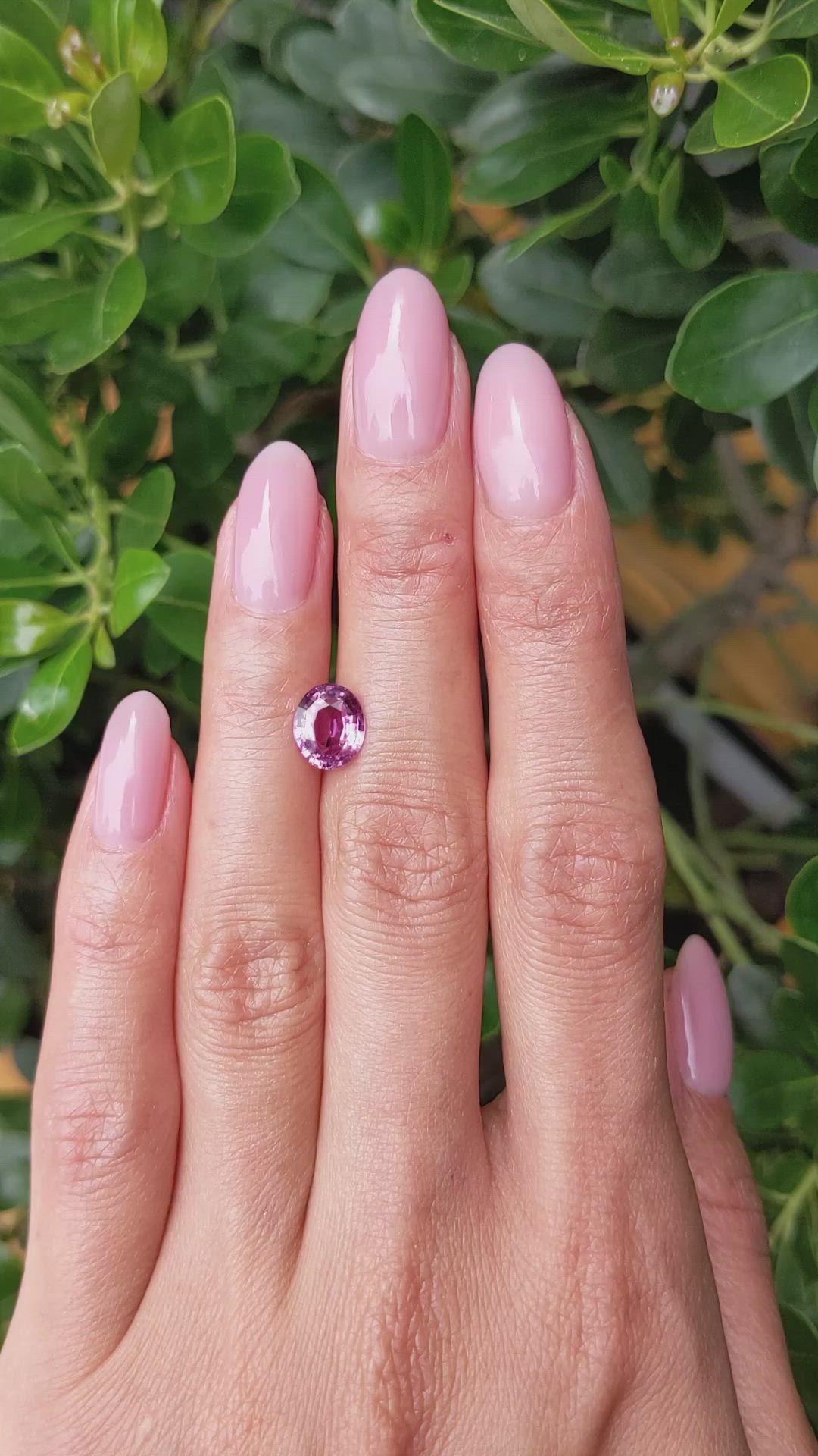 1.97 Ct. Purplish Pink Sapphire from Ceylon (Sri Lanka) Size Video