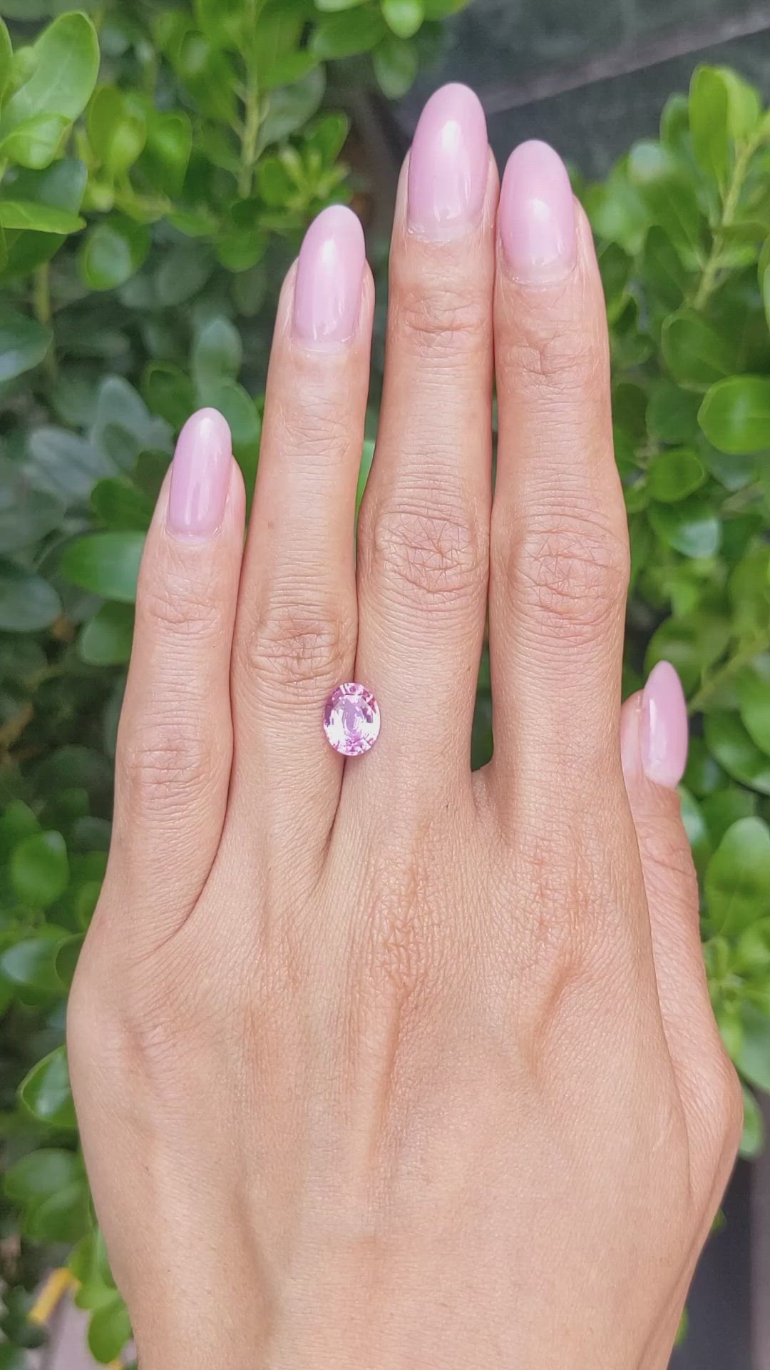 2.13 Ct. Purplish Pink Sapphire from Madagascar Size Video