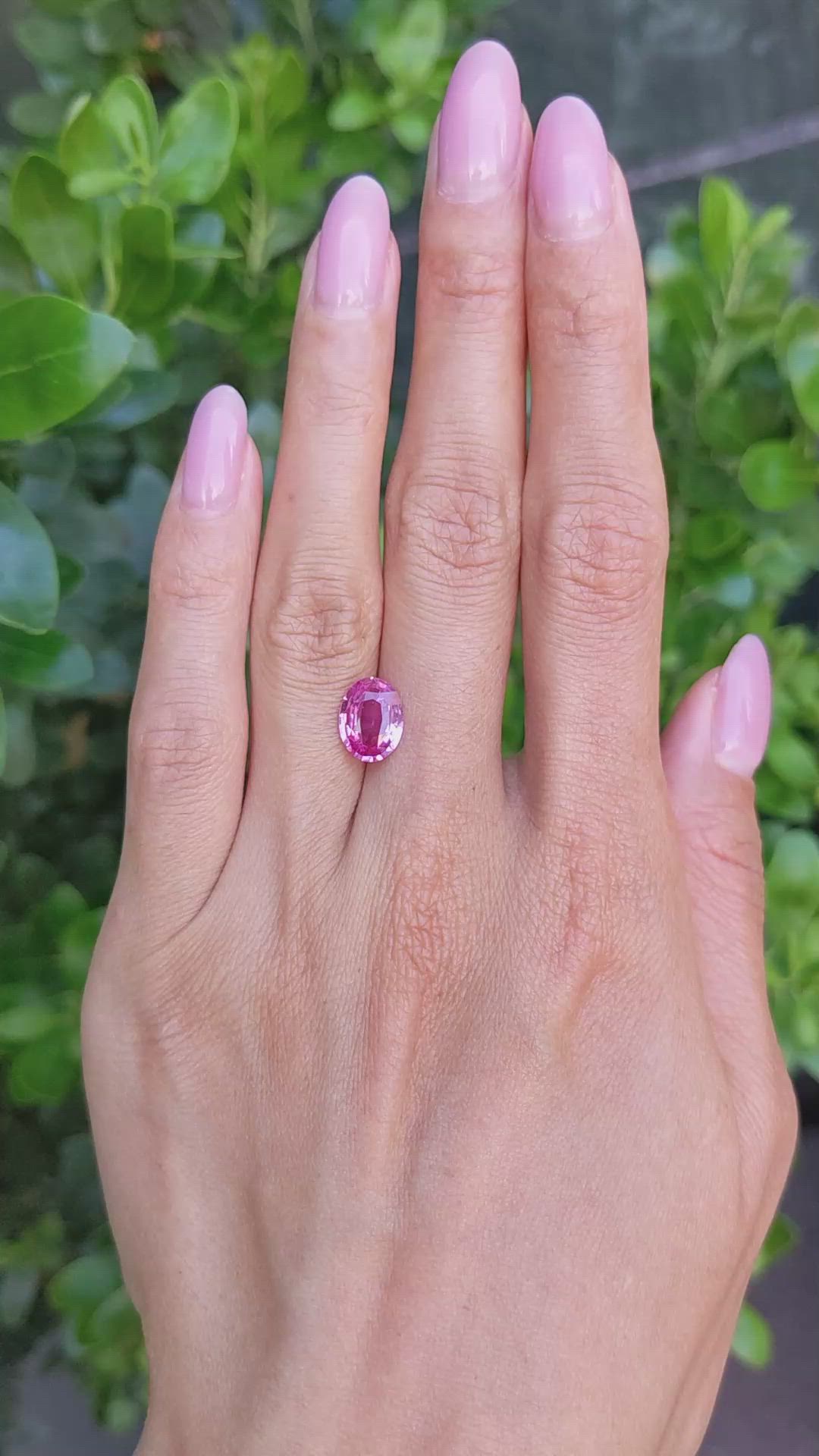 2.51 Ct. Pink Sapphire from Ceylon (Sri Lanka) Size Video