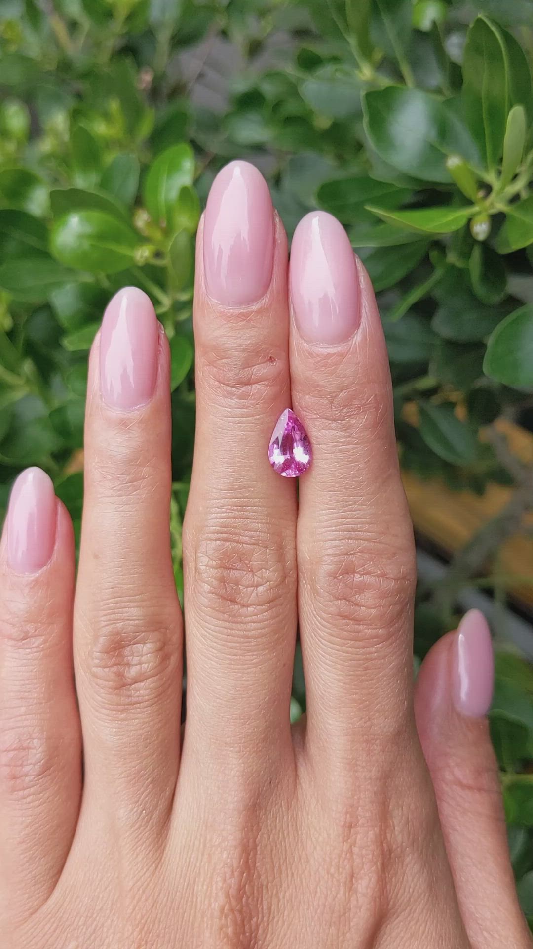 1.66 Ct. Pink Sapphire from Ceylon (Sri Lanka) Size Video