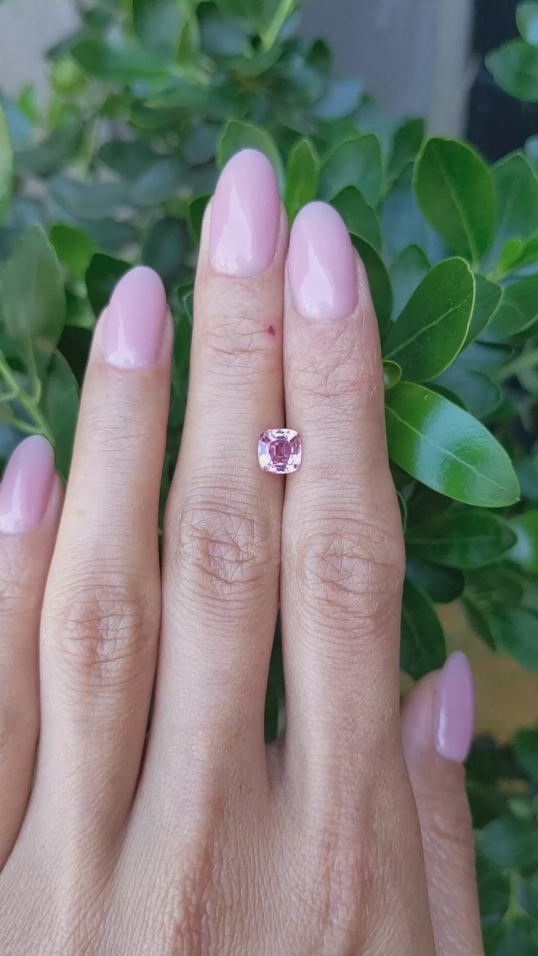 1.30 Ct. Pink Sapphire from Ceylon (Sri Lanka) Size Video
