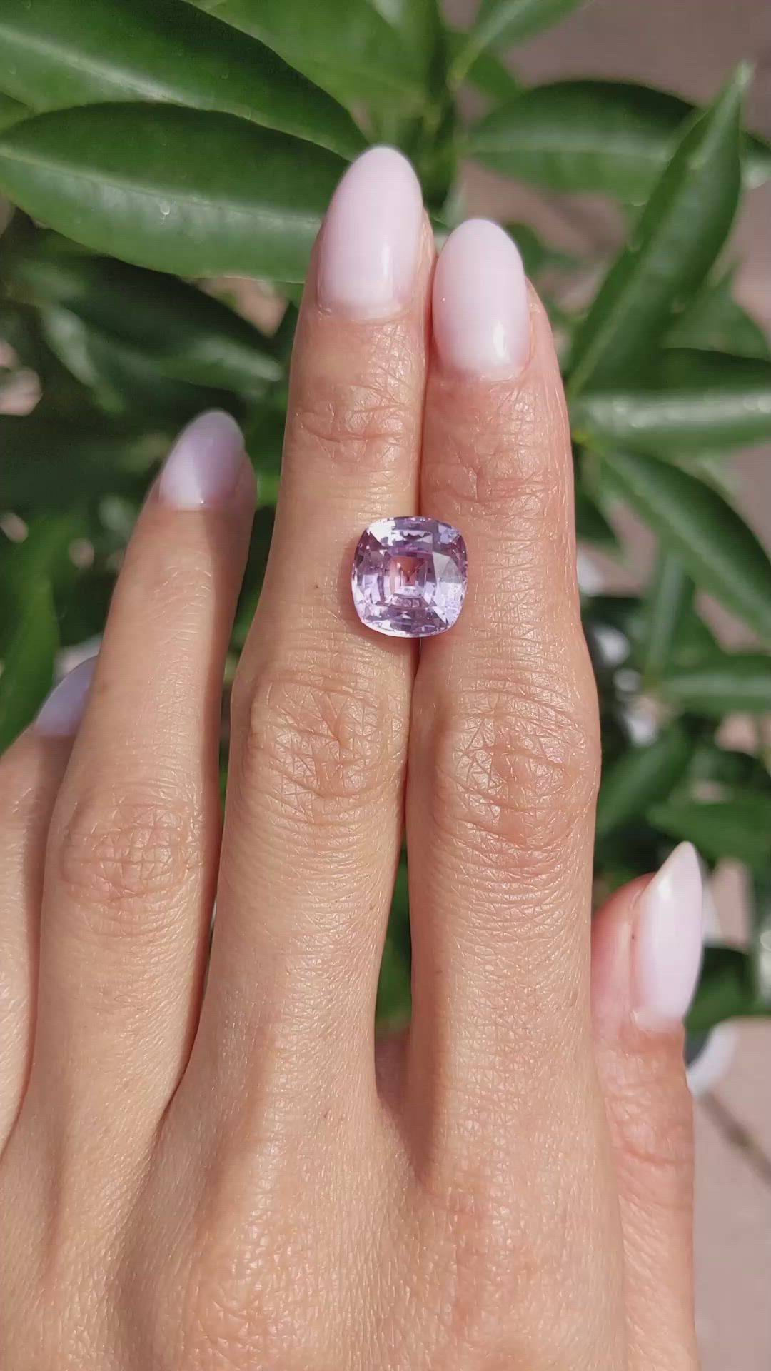 6.64 Ct. Pink Sapphire from Ceylon (Sri Lanka) Size Video