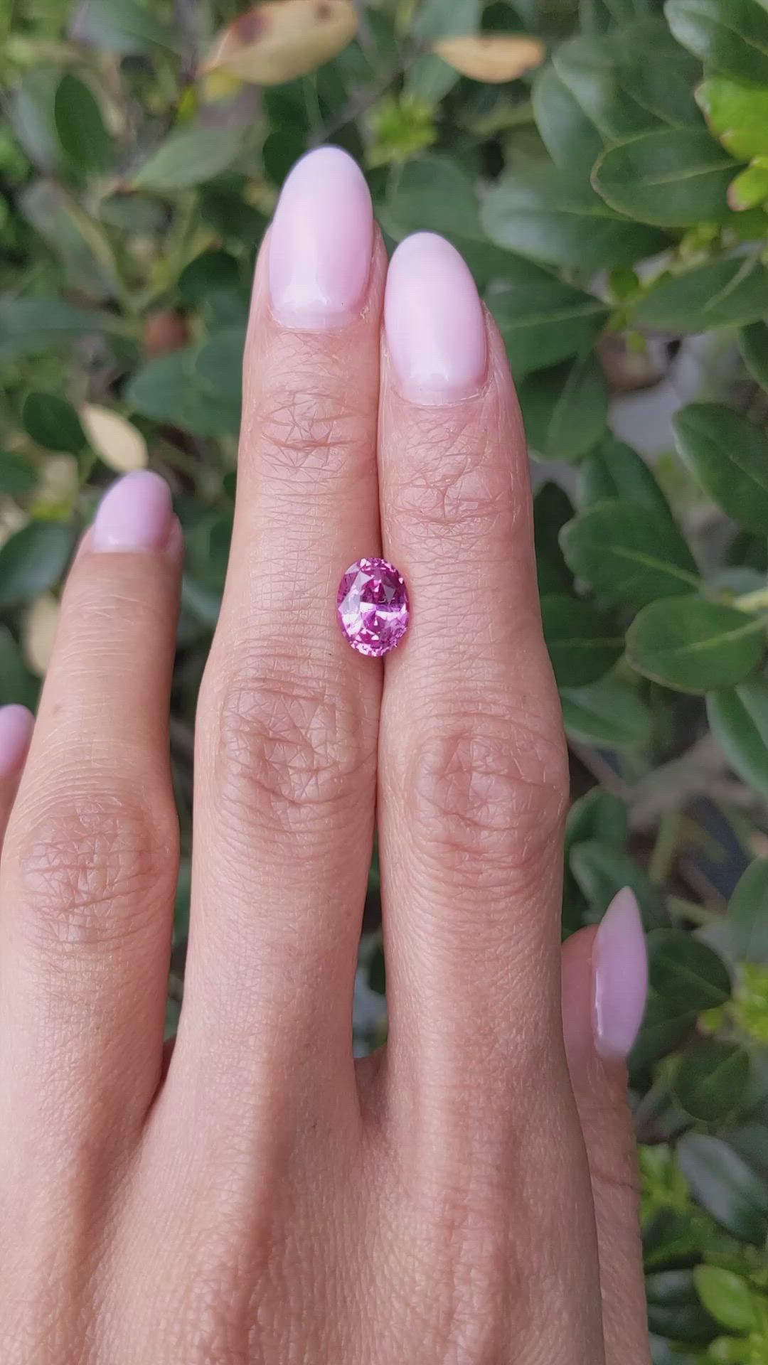 2.14 Ct. Pink Sapphire from Ceylon (Sri Lanka) Size Video