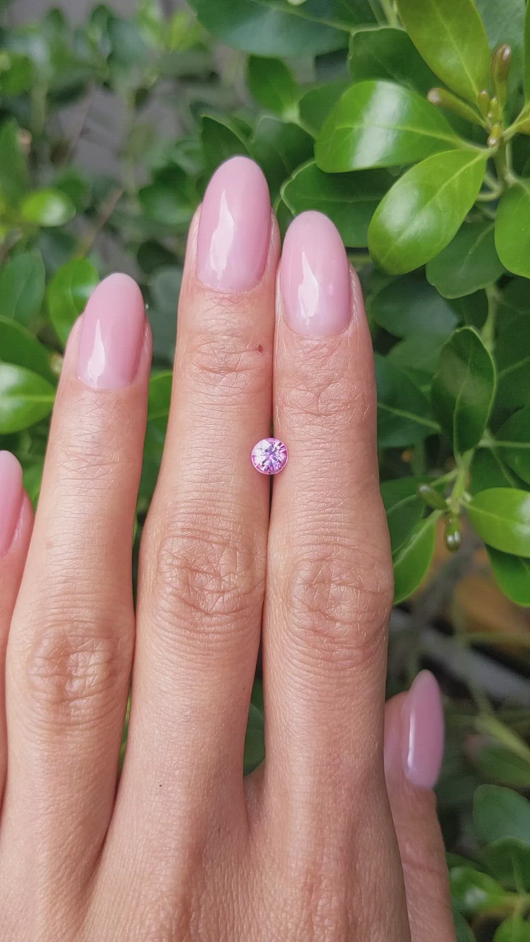 0.56 Ct. Pink Sapphire from Ceylon (Sri Lanka) Size Video