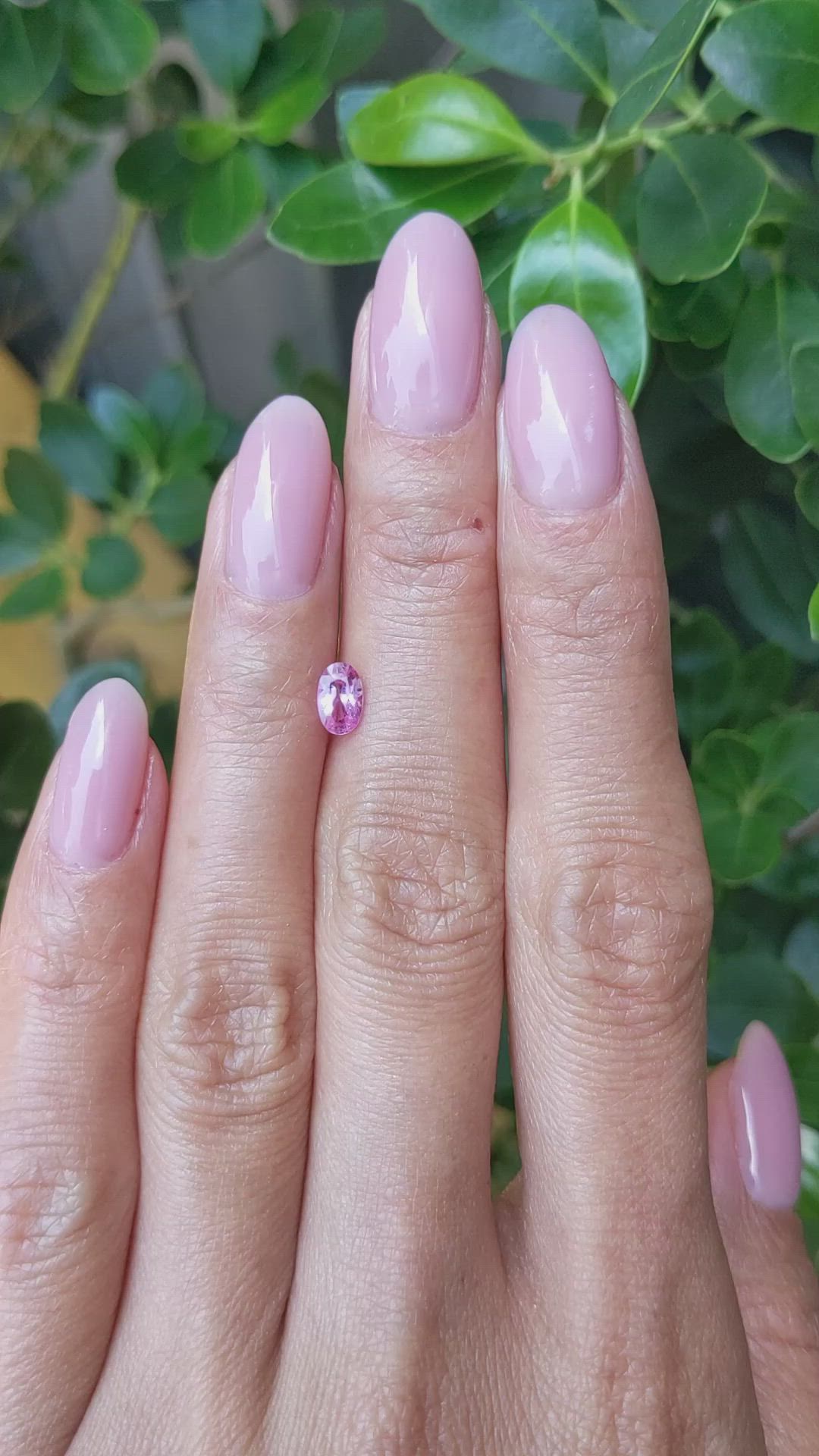 0.53 Ct. Pink Sapphire from Ceylon (Sri Lanka) Size Video