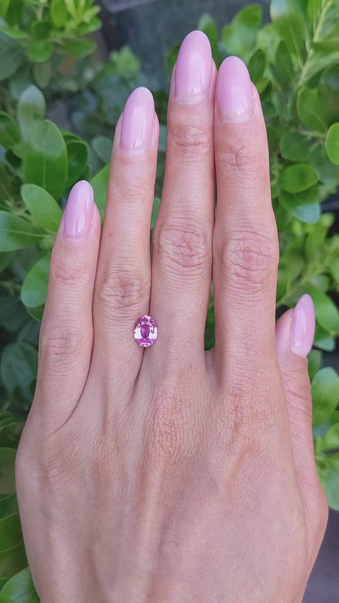 1.62 Ct. Pink Sapphire from Ceylon (Sri Lanka) Size Video